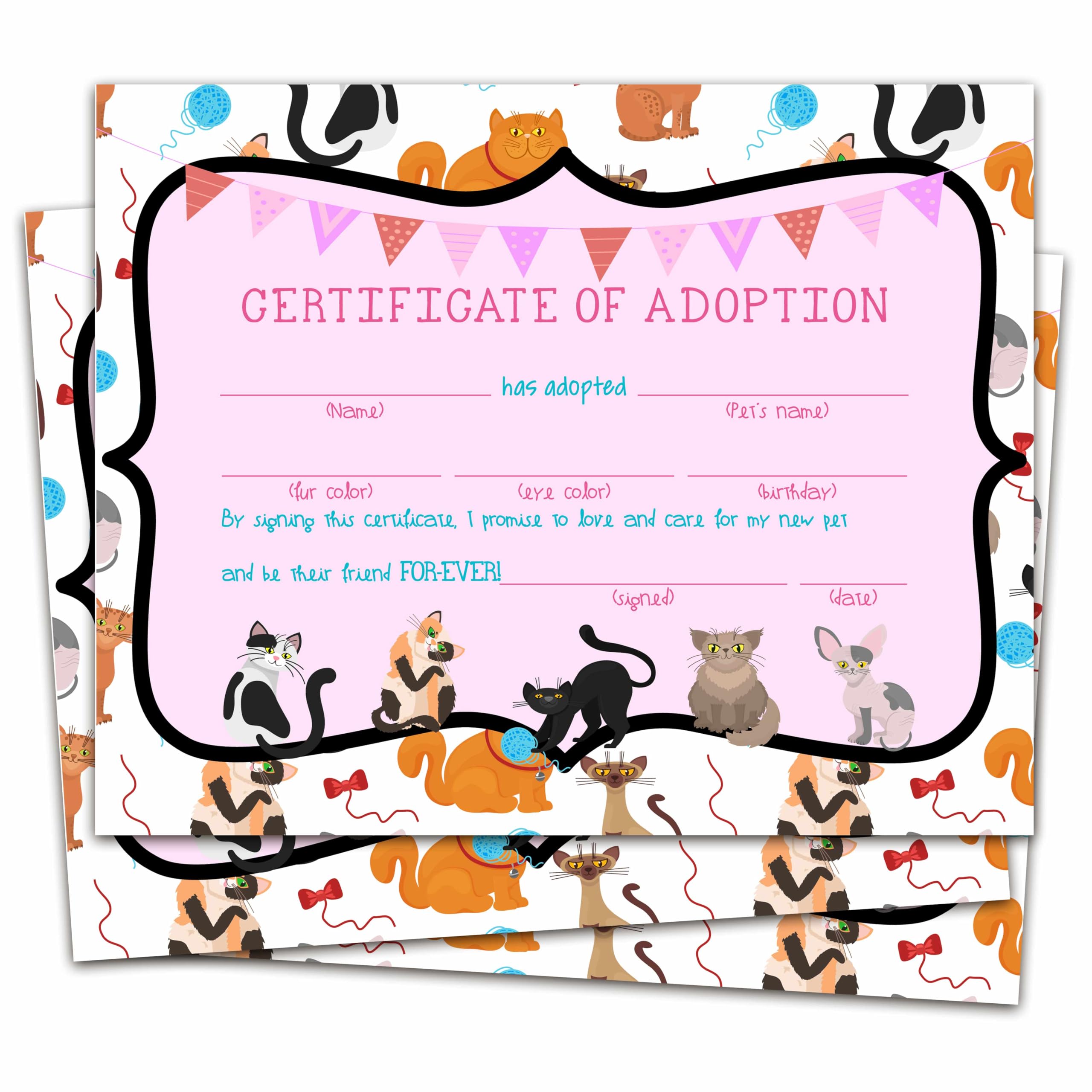 Cat Kitten Adoption Certificate, Colorful Cat Certificates Of Adoption, Adopt Cat Gifts For Cat Birthday Parties, Adopting A Pet Party Favors Supplies, 10 Pcs Pet Adoption Certificates -05 - View #9