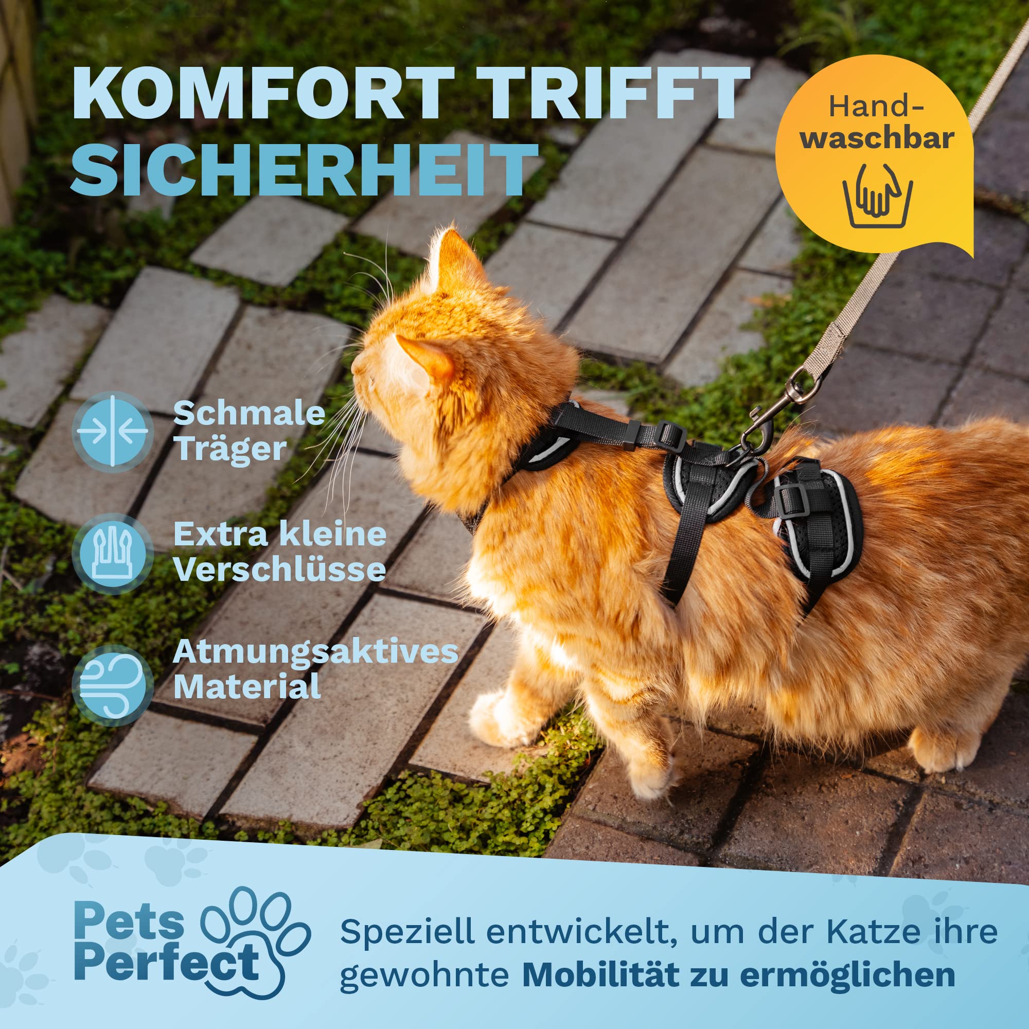 Arnés para gatos – Arnés resistente con correa para paseos seguros (XS, Negro, Rayas)