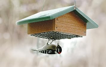 Audubon Going Green Suet Bottom Feed Style Feeder Model NAGGSBF
