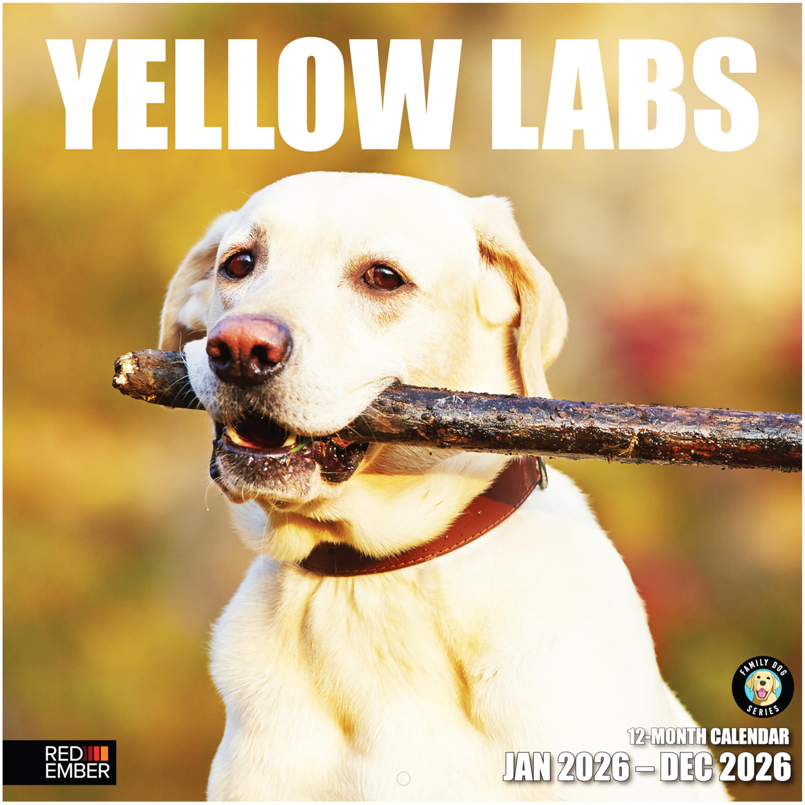 RED EMBER Yellow Labs 2026 Wall Calendar 12 Month | 12" x 24" Open | Thick &amp; Sturdy Paper | Giftable | Cute Labrador Retriever Puppy Dog Calendar 2026