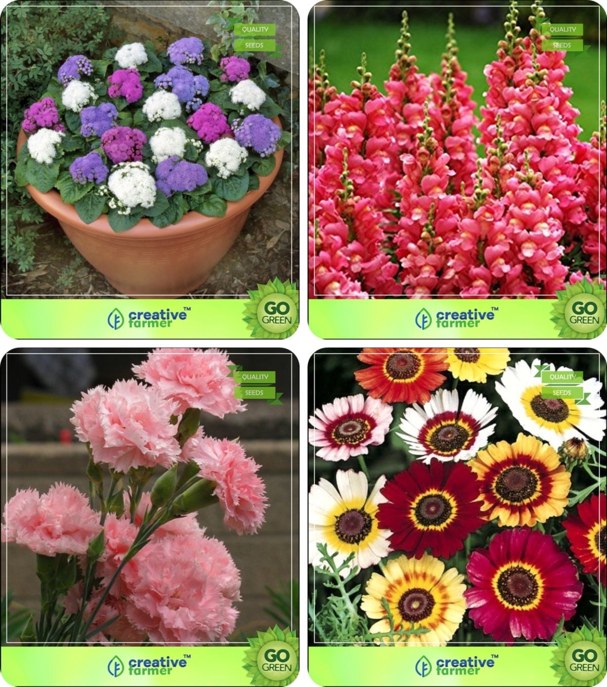 Creative Farmer Flower Seeds Plant Seeds For Home Garden Flowers