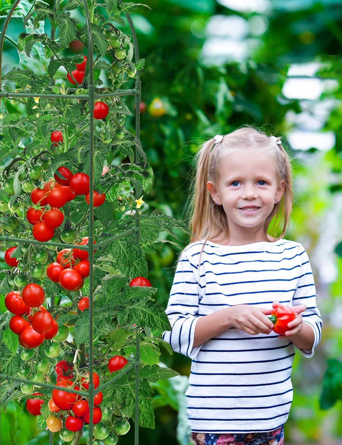 Enrejado de jardín Obelisco para Flores, 180cm Soporte Plantas Trepadoras Jaula para Plantas de Tomate para Plantas de Tomate, Escalada Vegtables, Flowers, Fruit 2 Piezas