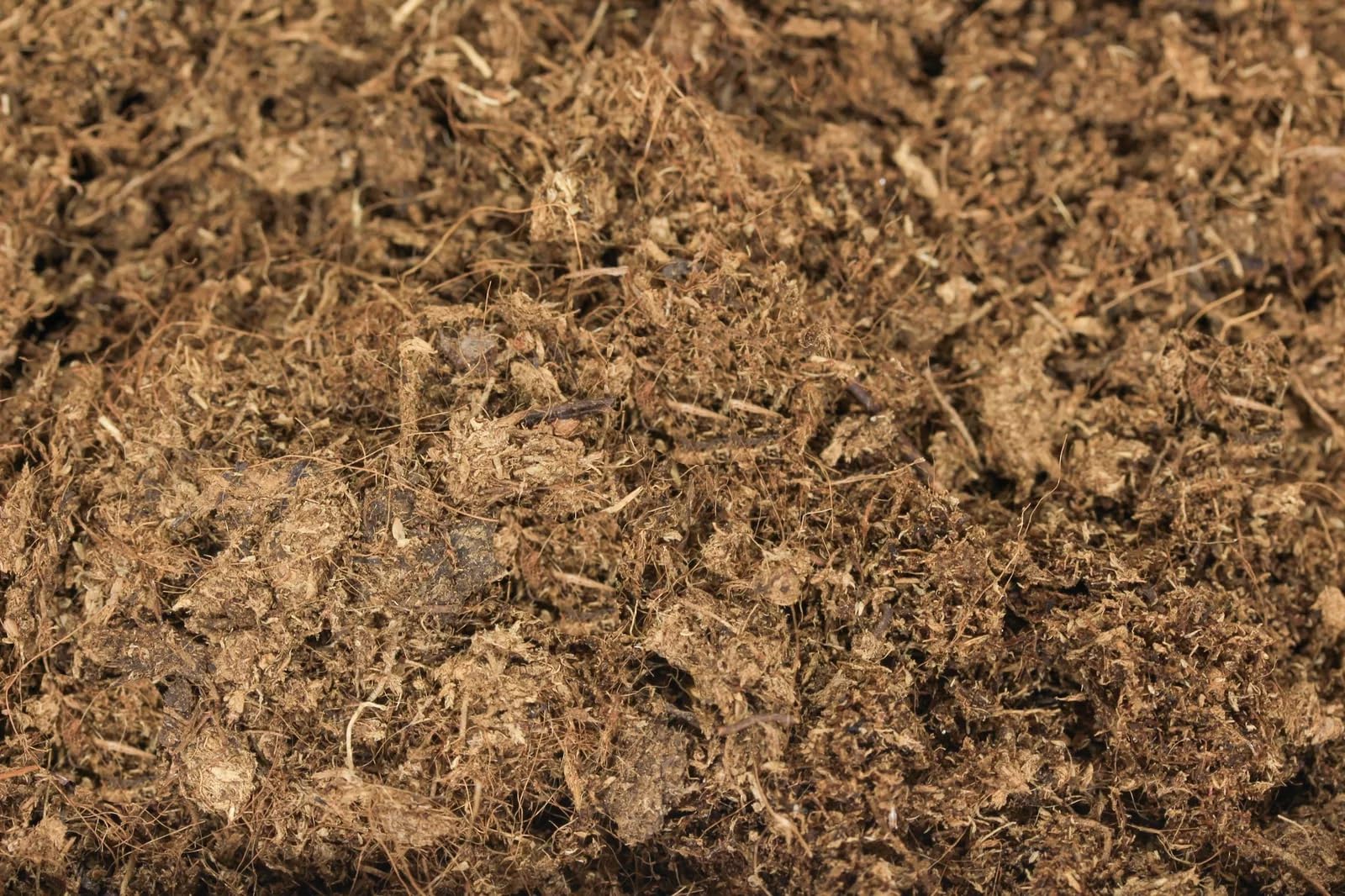TORBA (BIONDA) ACIDA DI SFAGNO (BALTIC PEAT) (c.ca 32-38 kg – 250 lt). (250 Litri Sacco)