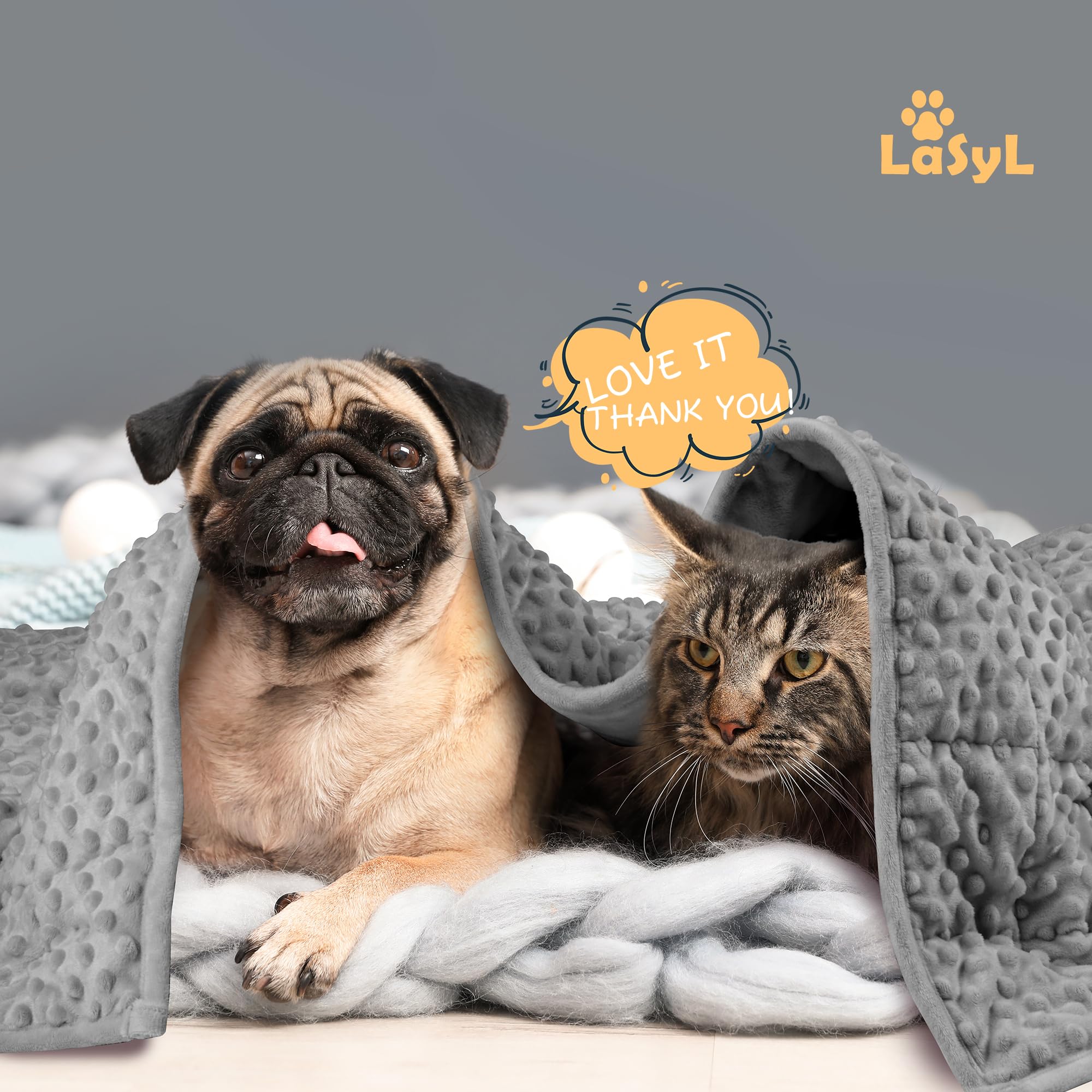 LaSyL Manta con Peso para Mascotas, Manta de Trueno para la ansiedad de los Perros | Minky Suave Relajación y calmante y antiansiedad | Se Utiliza en Coche, Cama, sofá | Gris Oscuro,