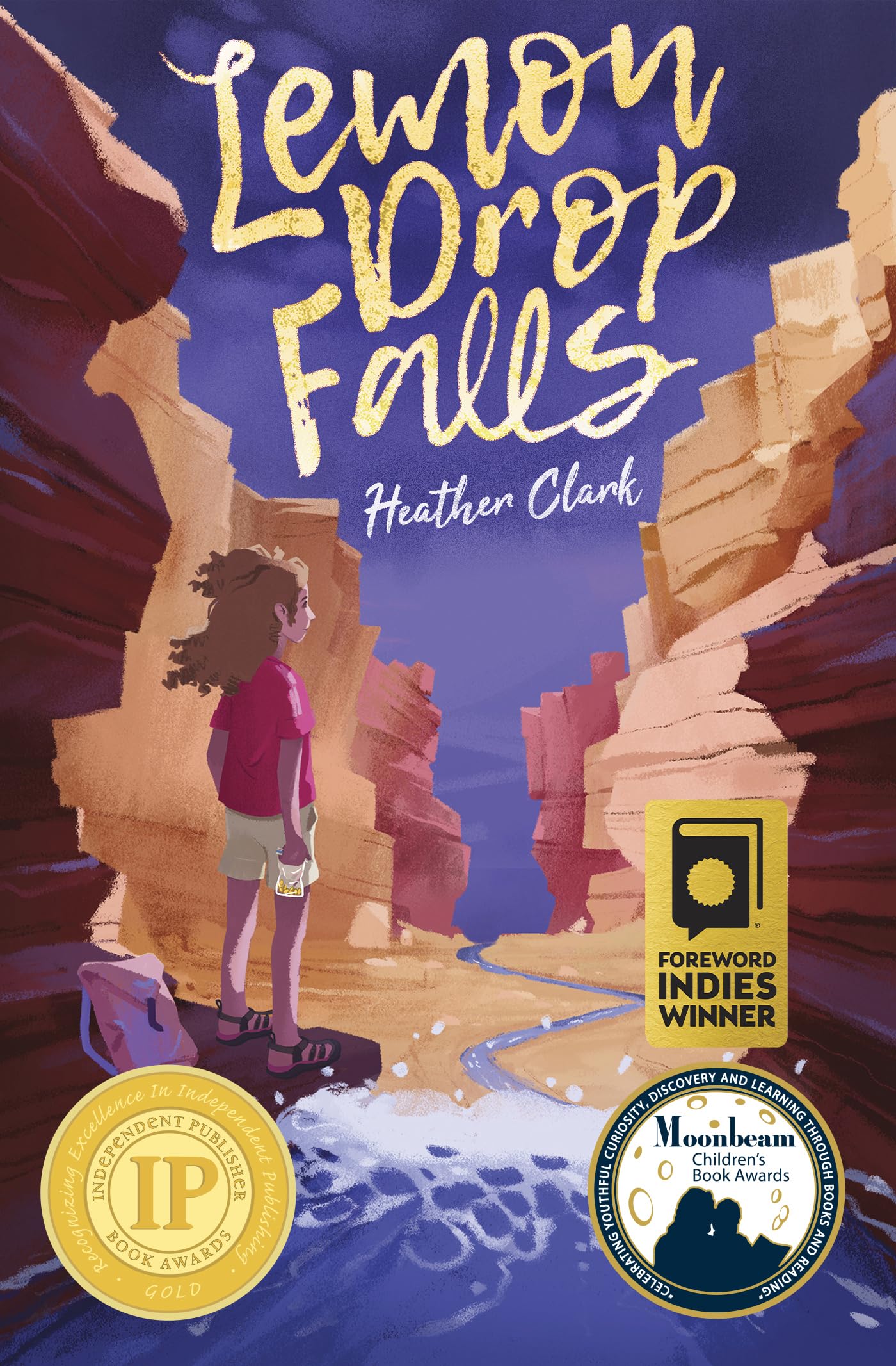 Buy Lemon Drop Falls — BookShops.in