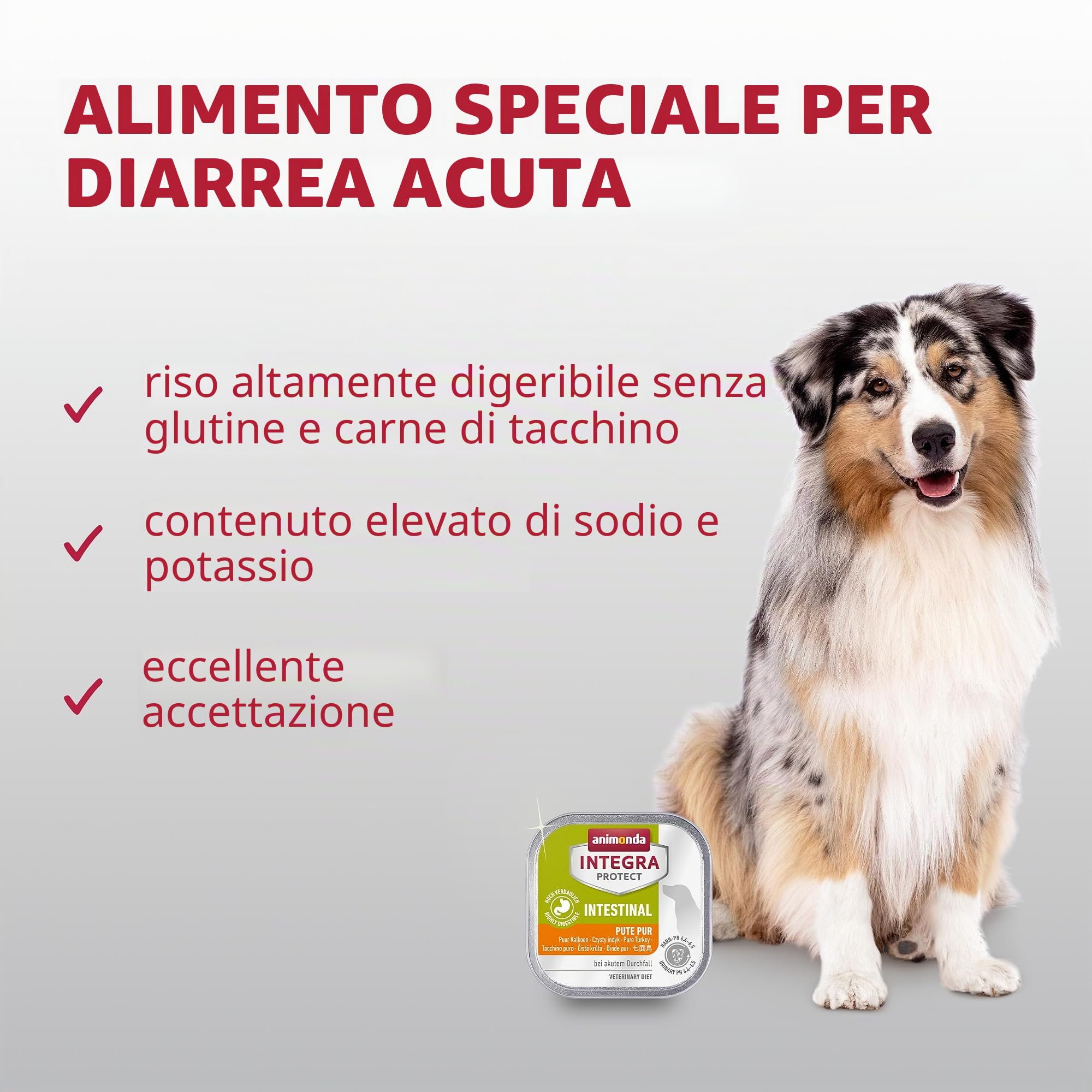 animonda Integra Protect Intestinal Cane, cibo dietetico per cani, alimento umido in caso di diarrea o vomito, puro tacchino, 11 x 150 g