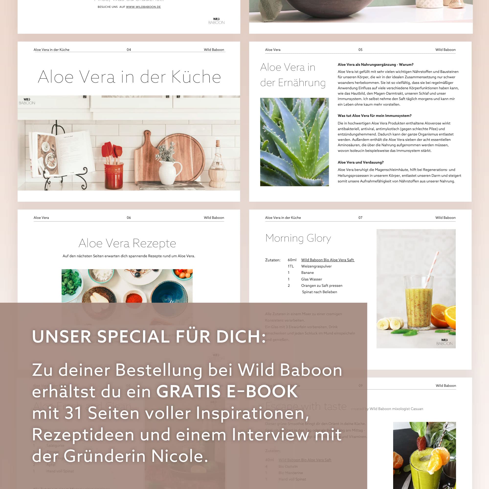 Aloe Vera Saft, 100% BIO Direktsaft, garantierte Aloverose: 1200mg/Liter, 6 x 1 Liter, nachhaltiger Anbau durch Familienbetrieb, Braunglas, Vegan, DE-ÖKO-005