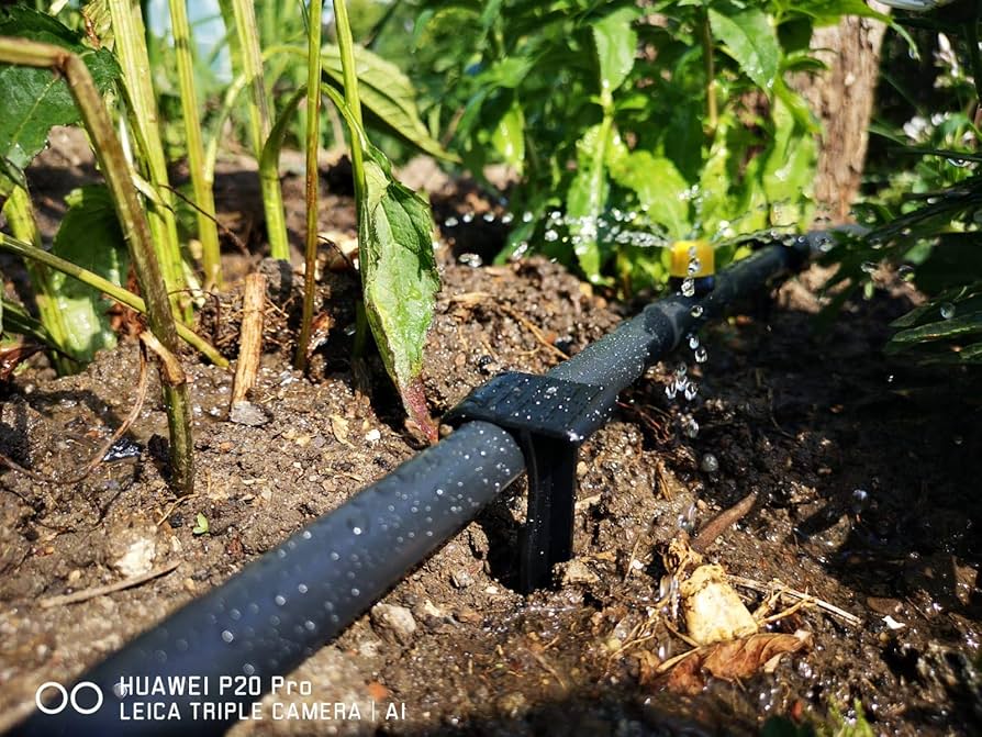 Amazon.com: GARDENIX® 50 件組AquaPIN 接地固定釘適用於滴灌線