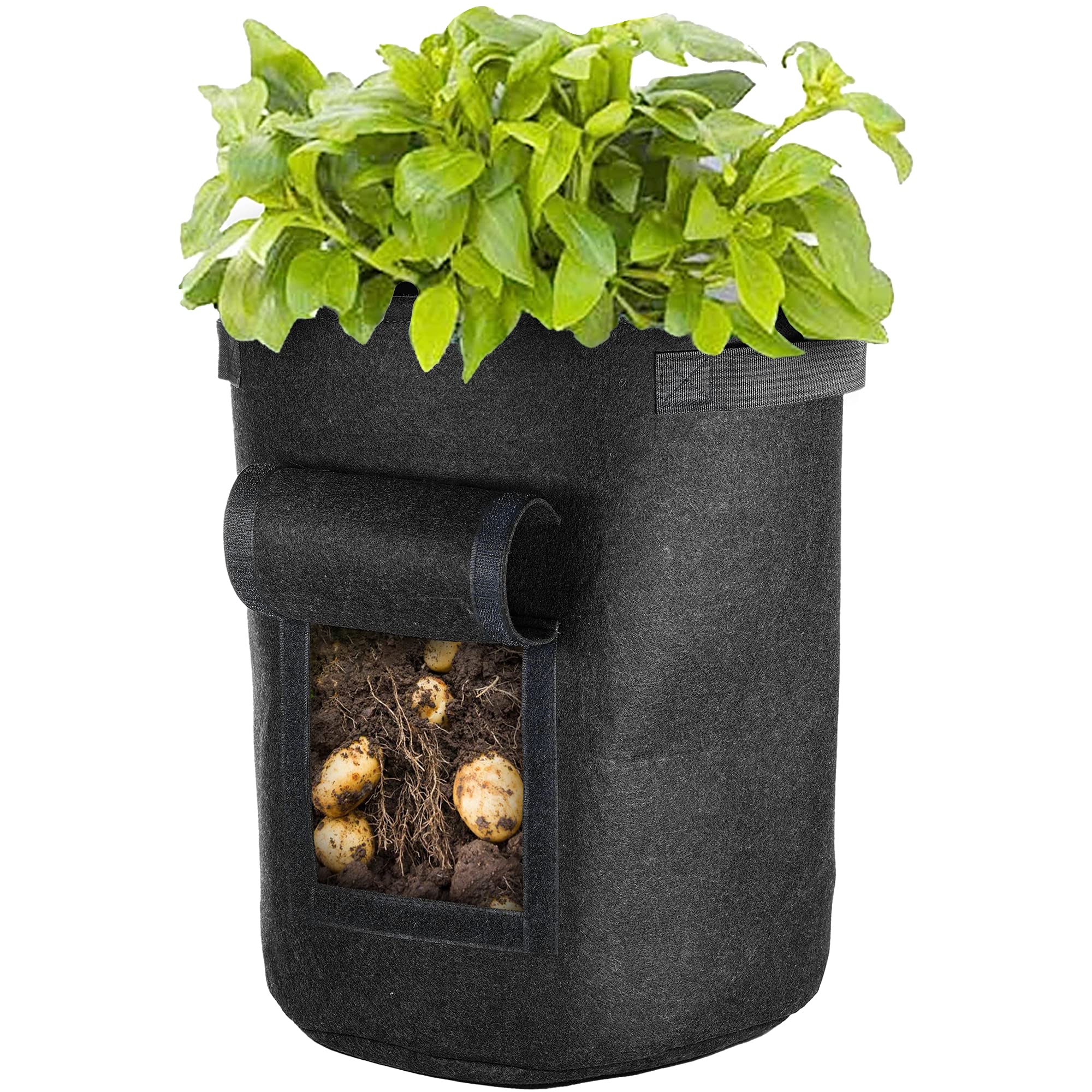 Gardenersdream Black Vegetable Grow Bag W/Window | Felt Garden Planter | Durable Container 35L