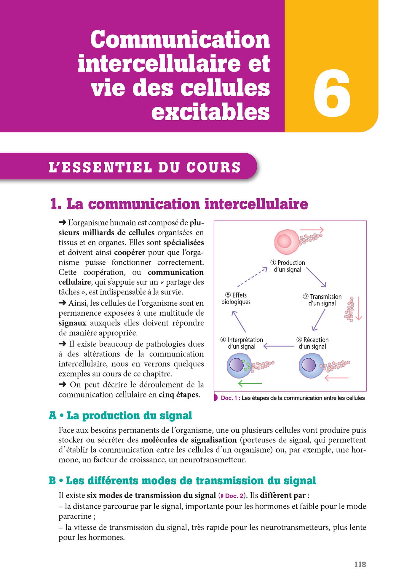 Biologie fondamentales, Cycles de la vie et grandes fonctions: Unités d'enseignement 2.1 et 2.2