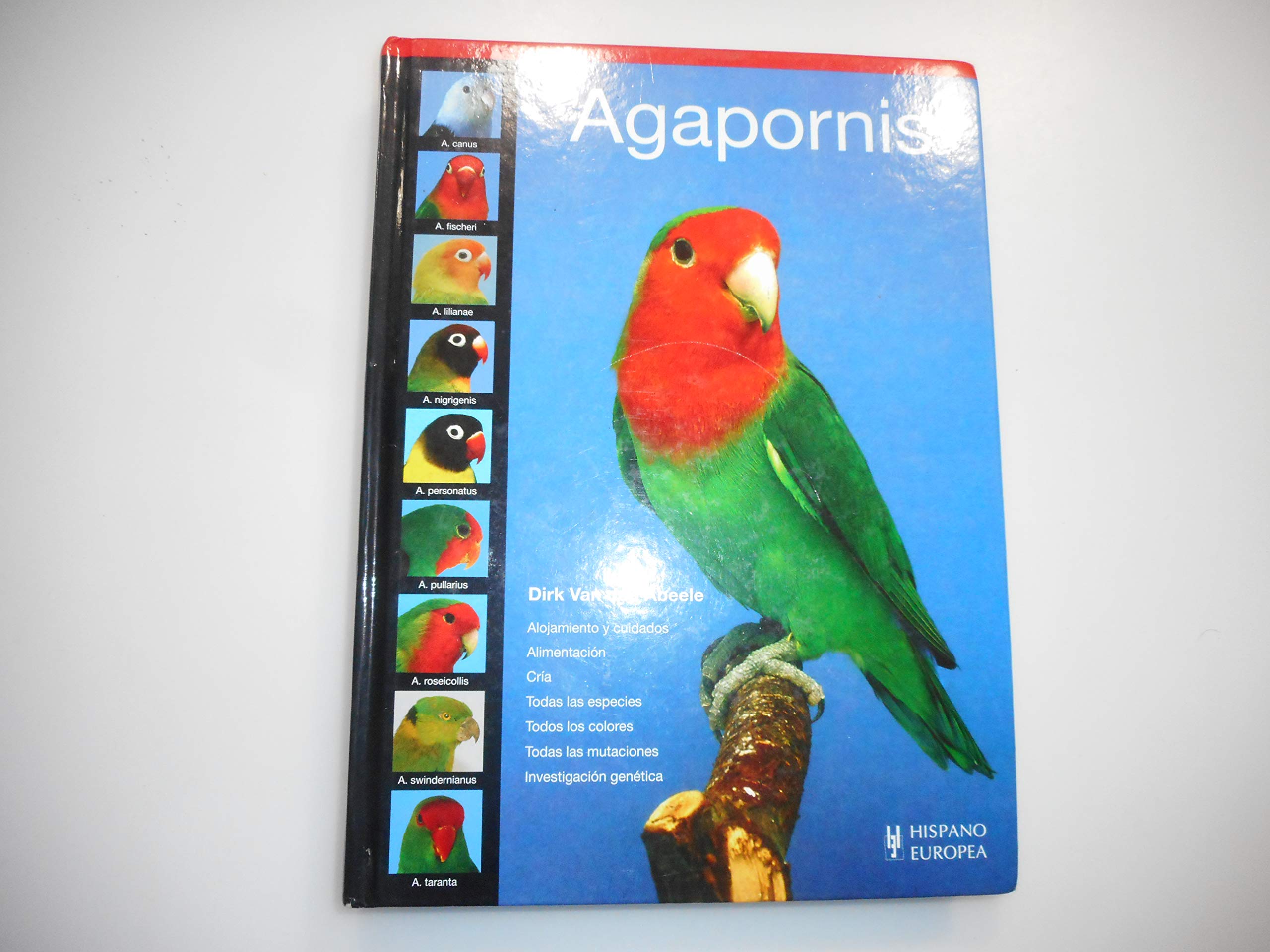 Agapornis / Lovebird