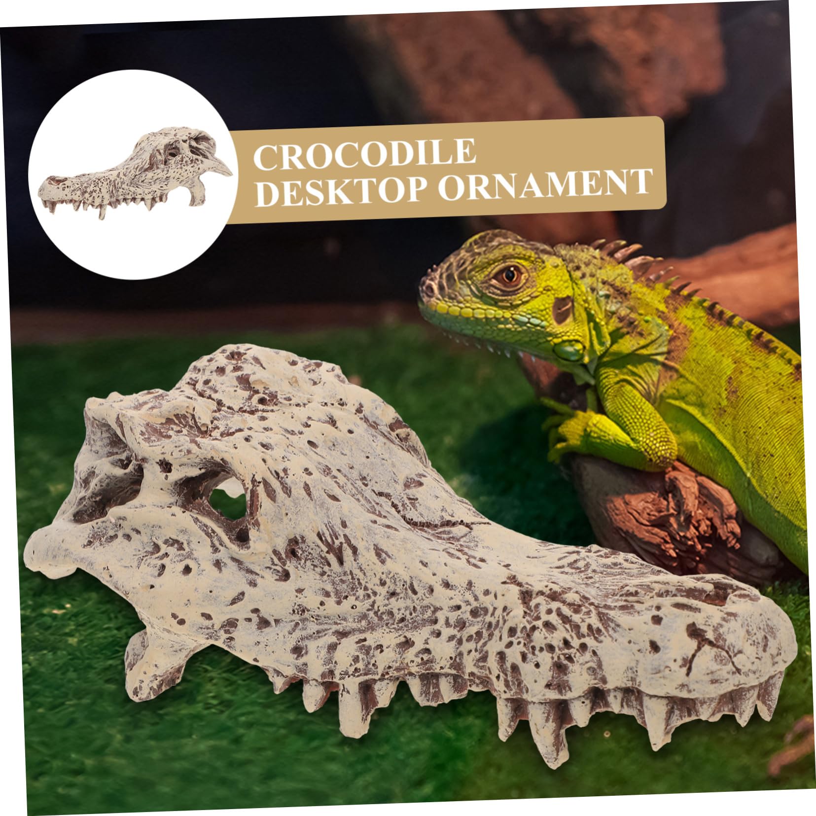 Décoration D’Aquarium Crâne en Résine Blanc pour Reptiles et Tortues | Halloween, Cachette et Escalade, Aspect pour Terrarium, Modèle Unique au Rendu Vivant