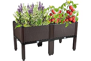 Enliven Your Outdoors with Raised Garden Bed, an Oasis for Lush Plants