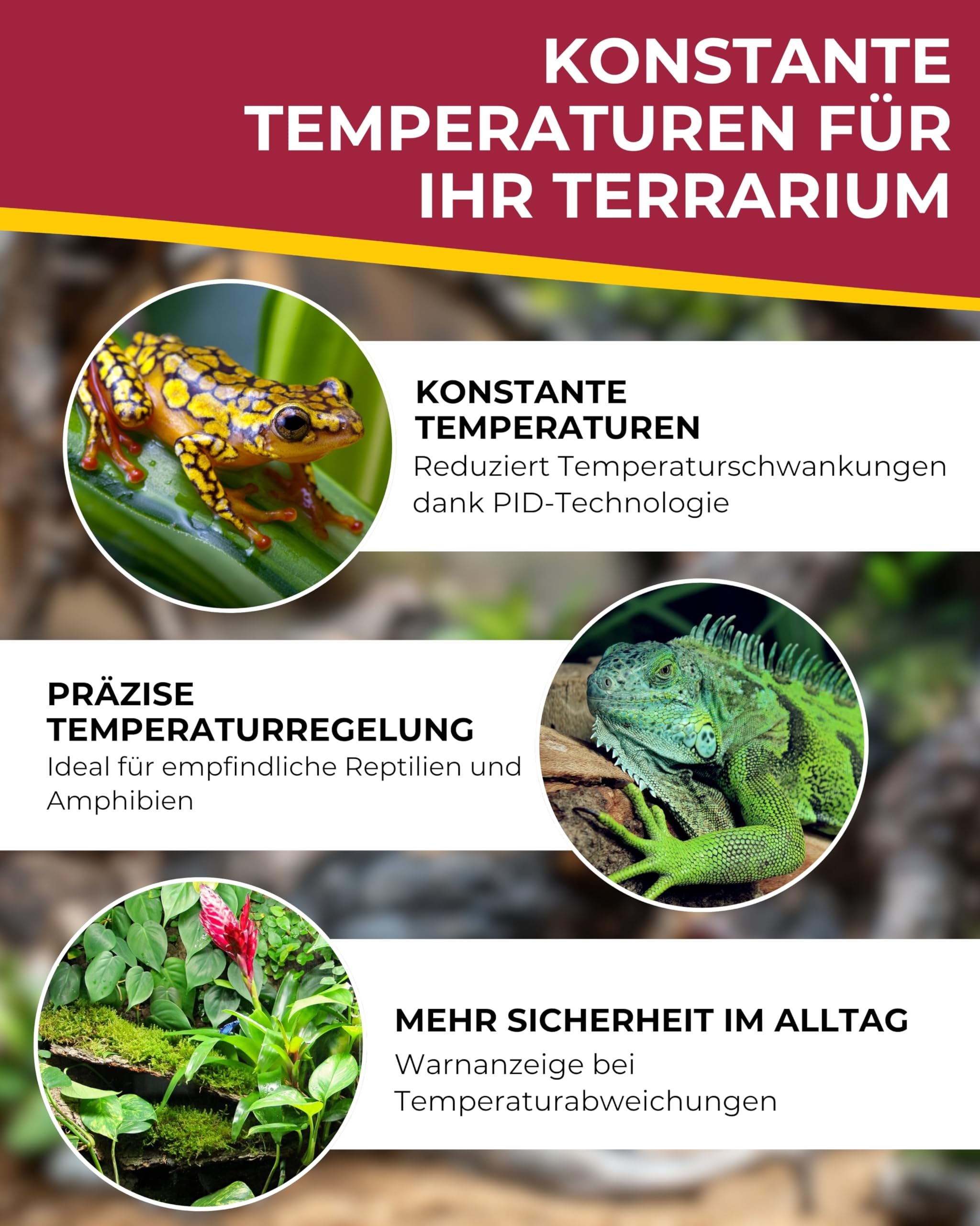 Hobby Terraristik Biotherm Thermo Control I Digitaler Temperaturregler für Terrarien & Aquarien I Präzises Thermostat mit PID-Technologie 5-65°C I Klima-Steuerung für Inkubator & Gewächshaus