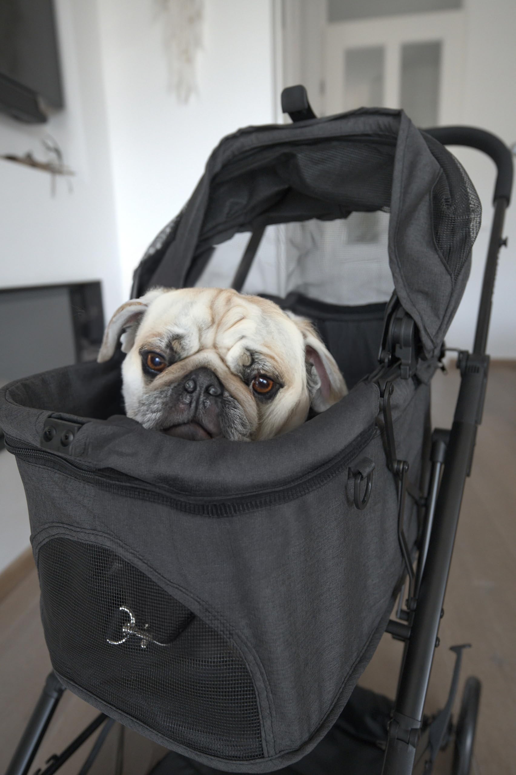 Deryan Luxus-Klappbarer Hundewagen, Katzenbuggy – Haustier-Kinderwagen – Bis zu 18 kg – Schwarz