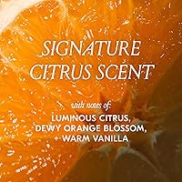 Vista 8 de Crema de peinado 3-en-1 de fruta de cactus DAE - Estilos suaves, preparaciones para peinados brillantes, define rizos (142 ml)