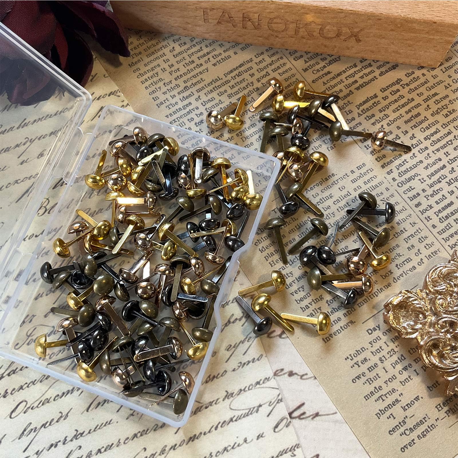 Amazon.co.jp: TANOKOX Cotter Pins, 0.2 x 0.4 inches (6 x 10