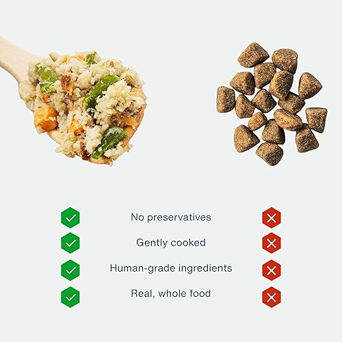 Miniatura 40 de JustFoodForDogs Alimento fresco congelado para perros, comida completa o alimento para perros, receta de comida para perros de grado humano