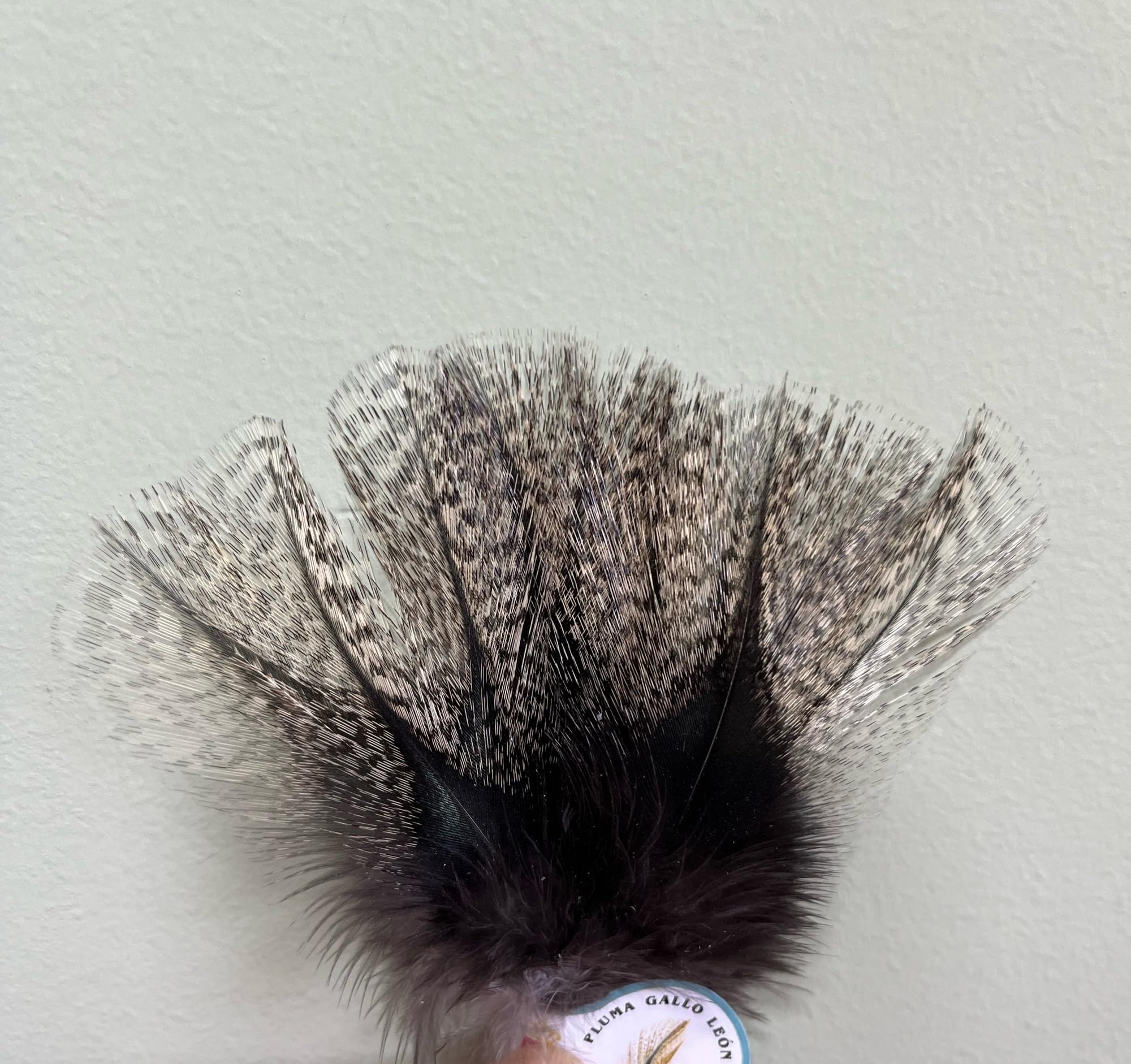 Genérico Pluma DE Gallo DE Leon | Lion ROOSTE Feather