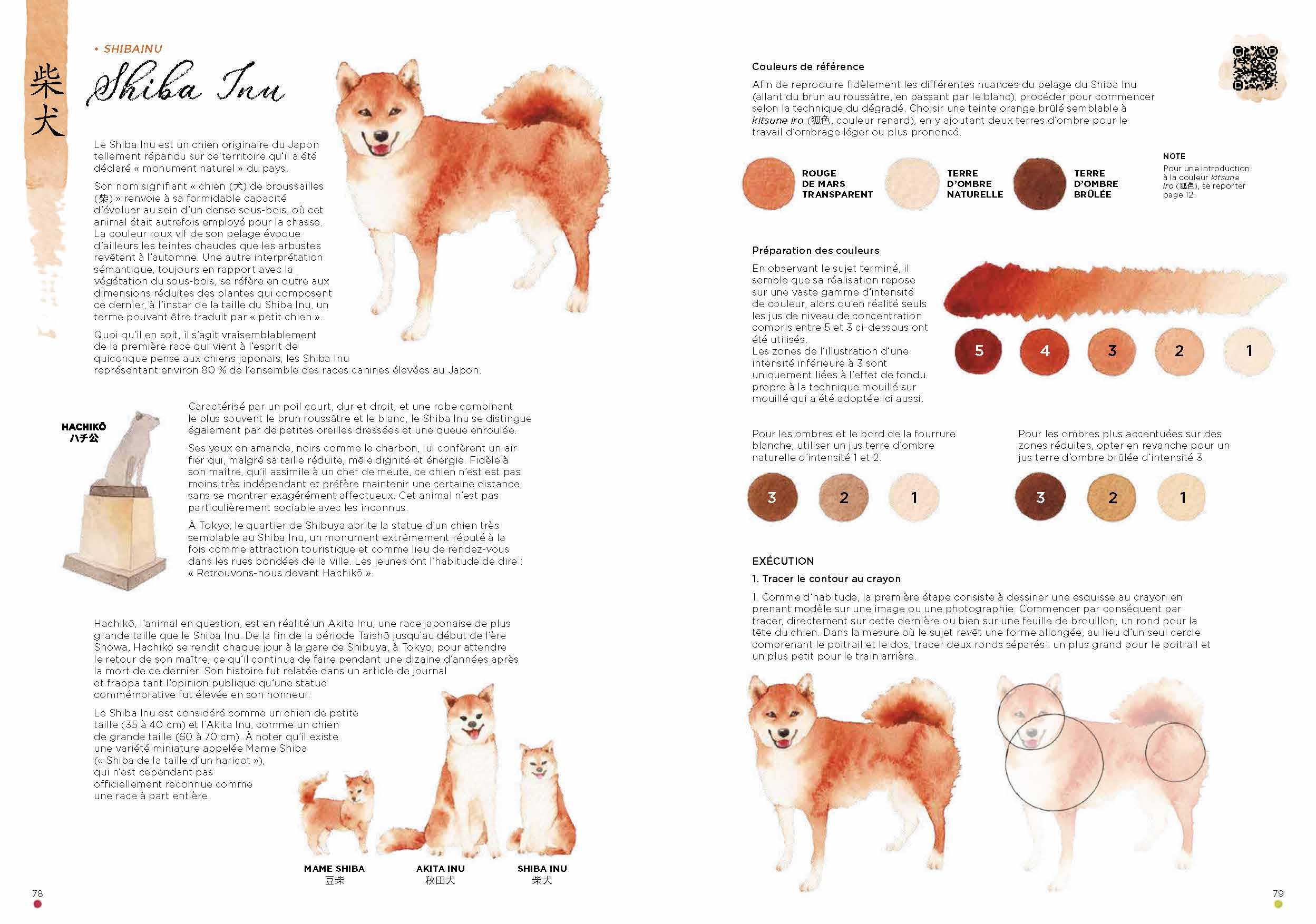 Leçons d'aquarelle japonaise - L'art de peindre les animaux