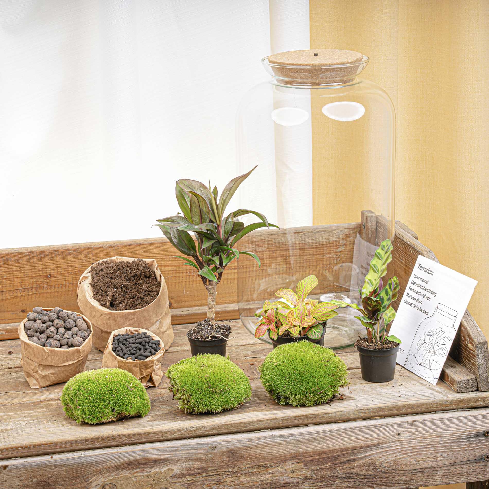 urbanjngl - Sven XL Palm Terrarium mit Licht - DIY Kit für Pflanzenökosystem - Ø 23 cm, Höhe 43 cm - Ideal für Zimmerpflanzen und kreative Gestaltung