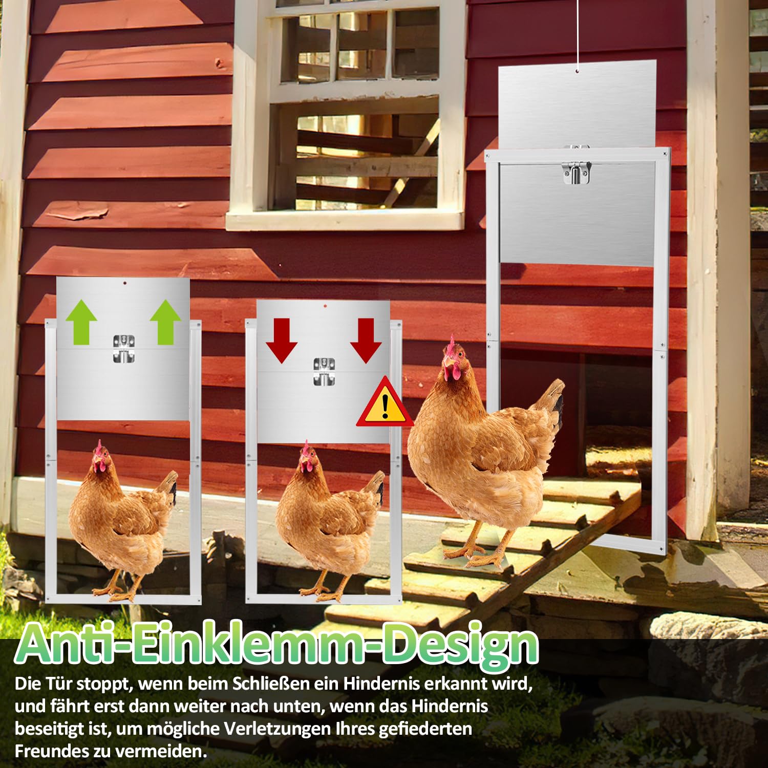 Automatische Hühnerklappe, Aluminum Lichtsensor Elektrische Hühnertür mit Großes Display, Timer, Einklemmschutz, Fernbedienung, Türöffner 30x30cm, Wasserdicht IP44