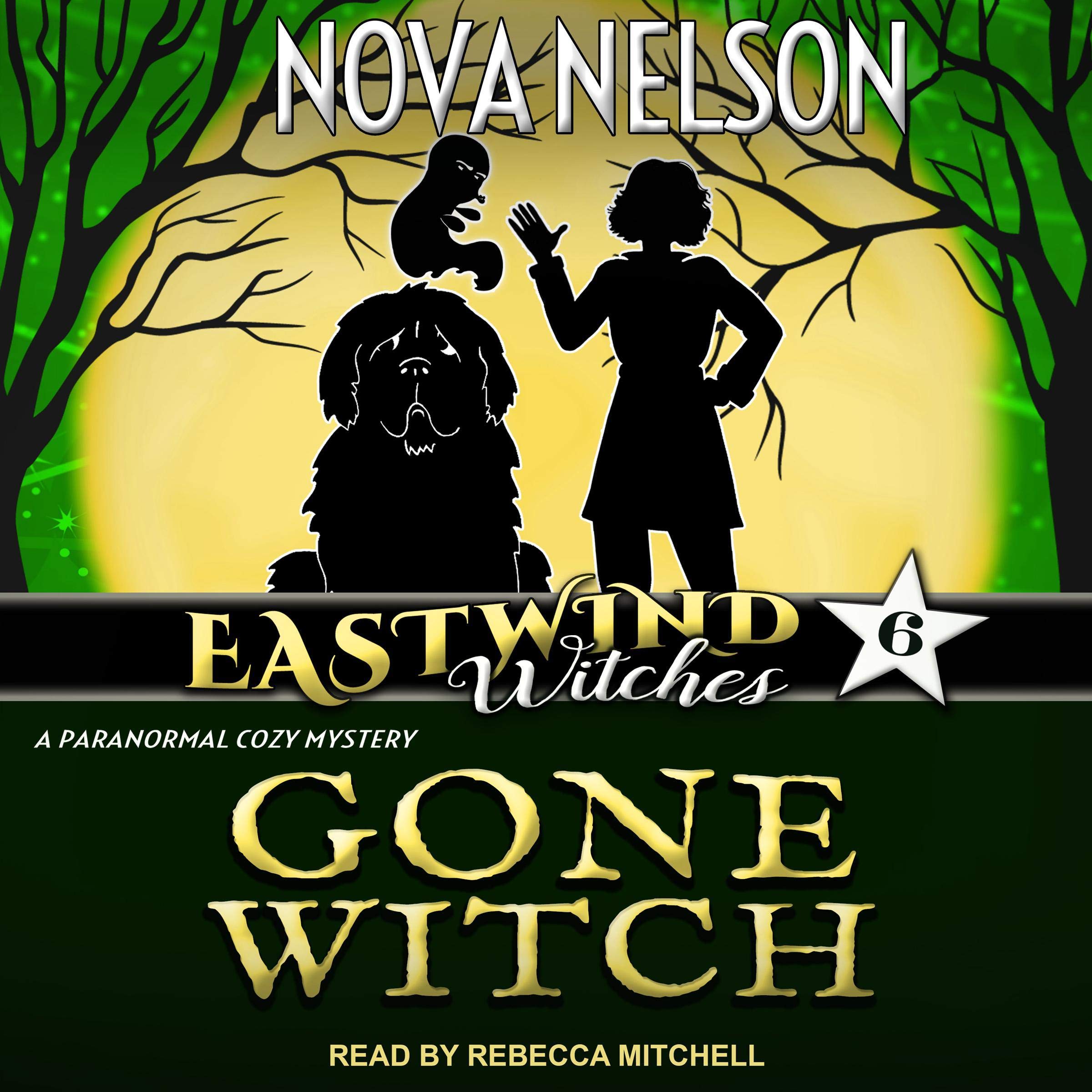 Cover art for Gone Witch