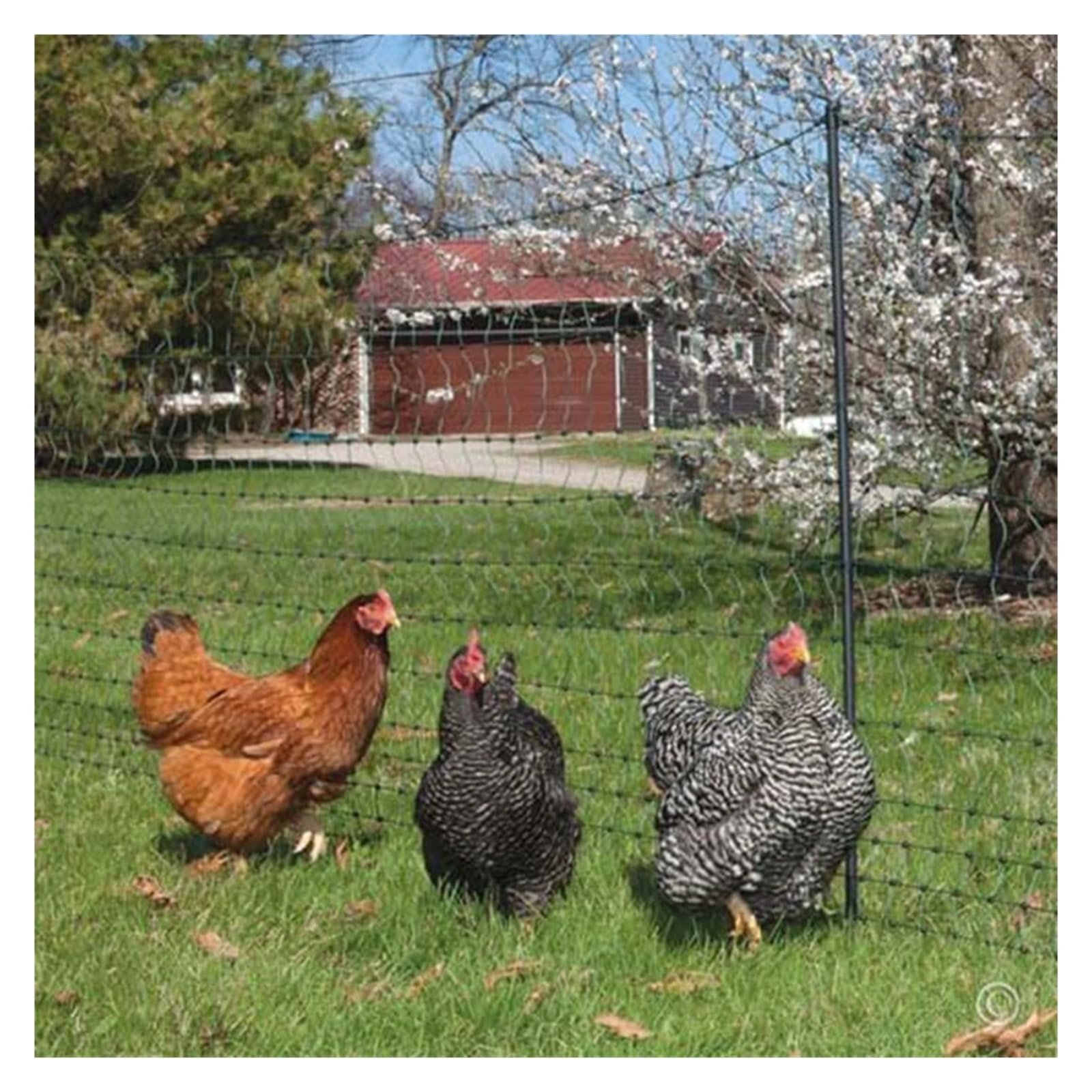 Red pesada para pájaros para protección de jardines y cultivos, 3 m x 5 m, 24 hebras, multicolor, anti pájaros, gatos, perros y ciervos, red para exteriores