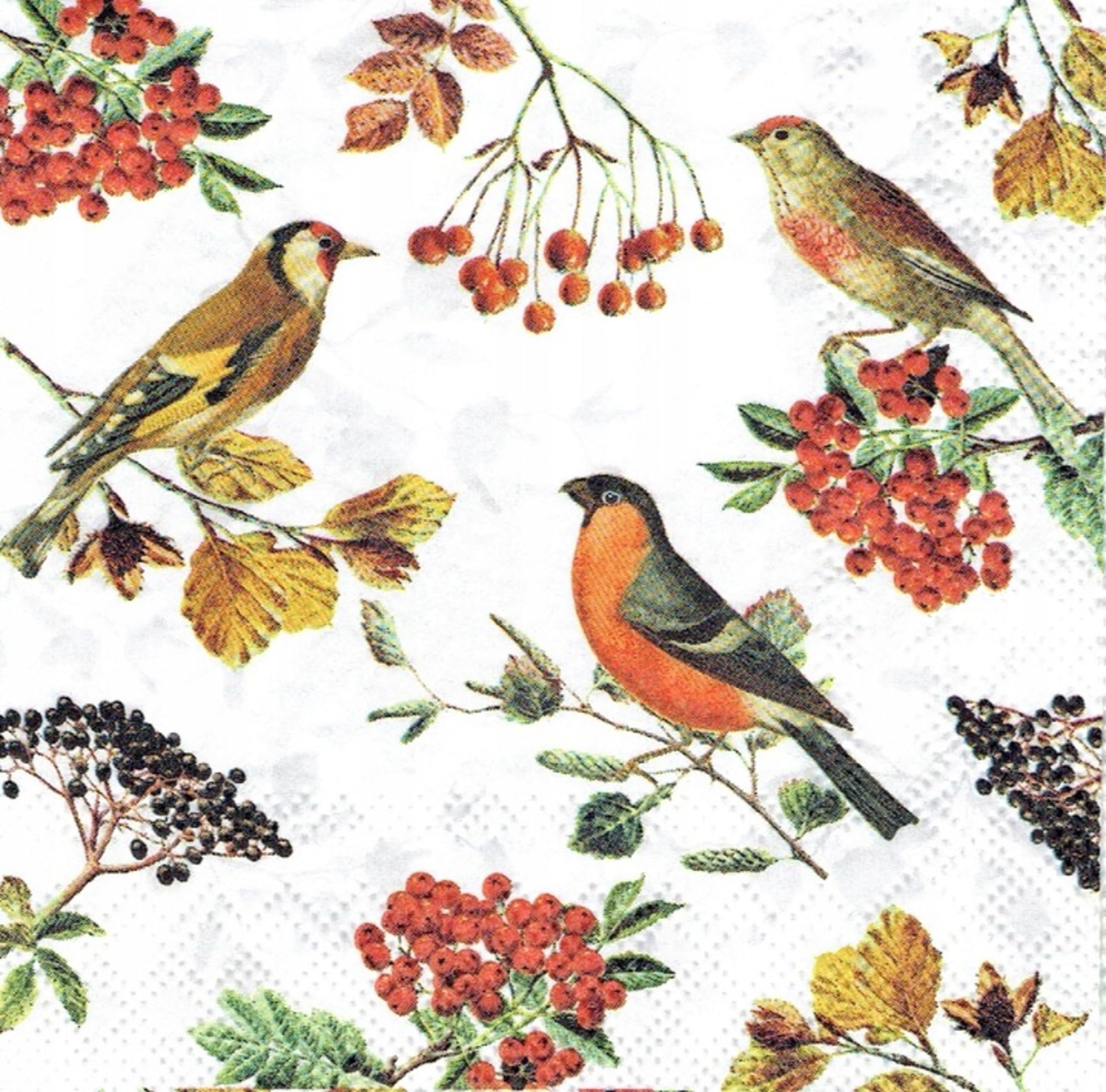 Set of 2 Individual Decoupage Paper Party Napkin Autumn Fall Birds Berries Watercolor Decor Luncheon Napkins for a Birthday Holiday, Wedding, Cocktail Party