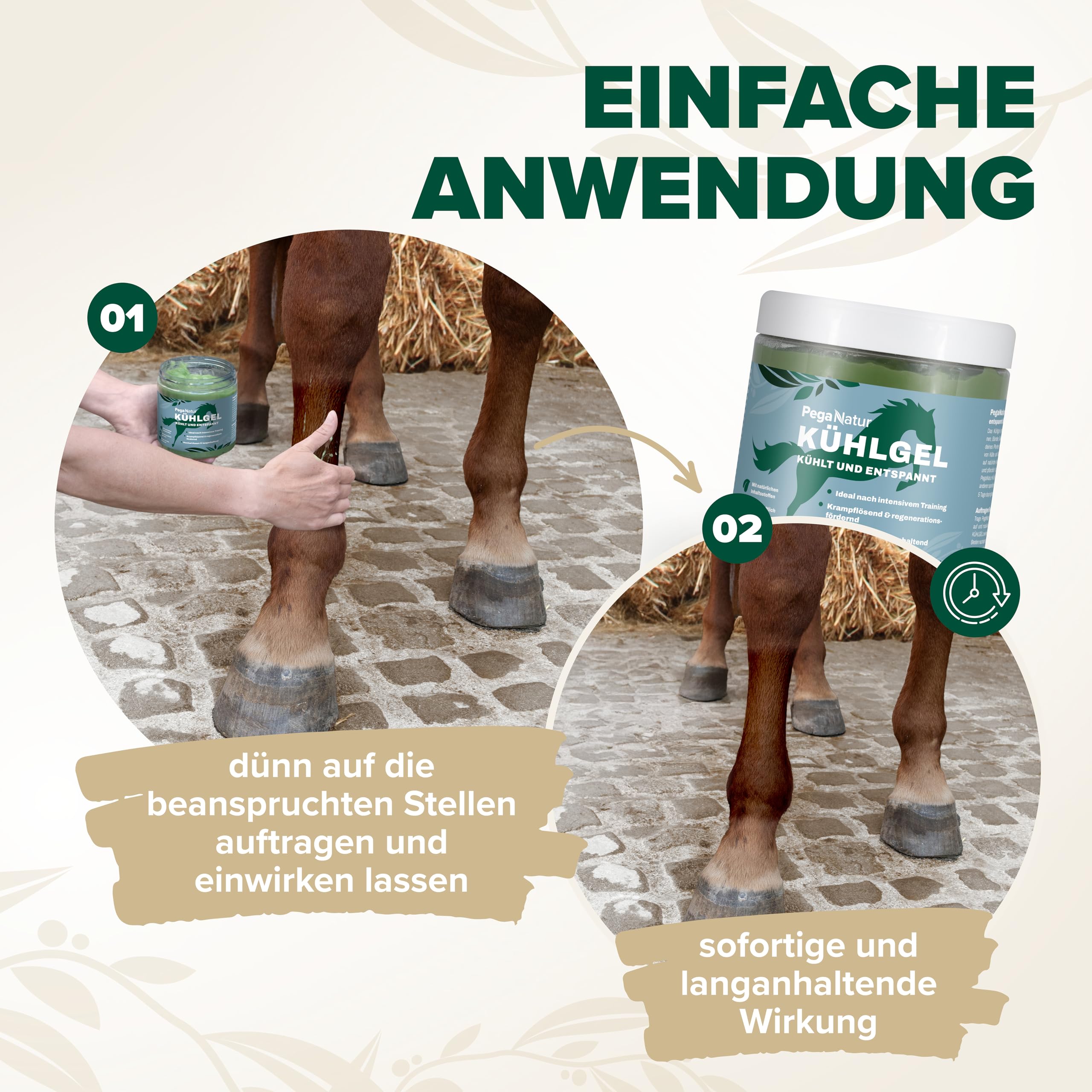 Kühlgel 500ml Pferdebalsam wärmend und kühlend [extrastark] Pferdebalsam kühlend mit Arnika und Kampferöl bei Gelenkschmerzen Pferde Muskelentspannung Horse Pferd Entspannung Pferdesalbe