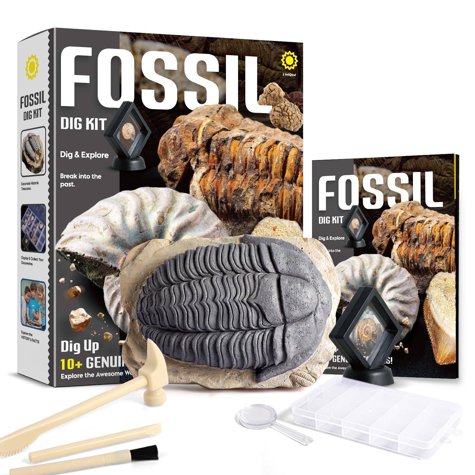 Byncceh Kit Scavo Fossili Bambini con 12 Fossili Veri – Gioco Scientifico STEM Educativo con Martello & Scalpello – Set Paleontologia Bambini 6-12 Anni – Regalo Didattico Senza Schermo