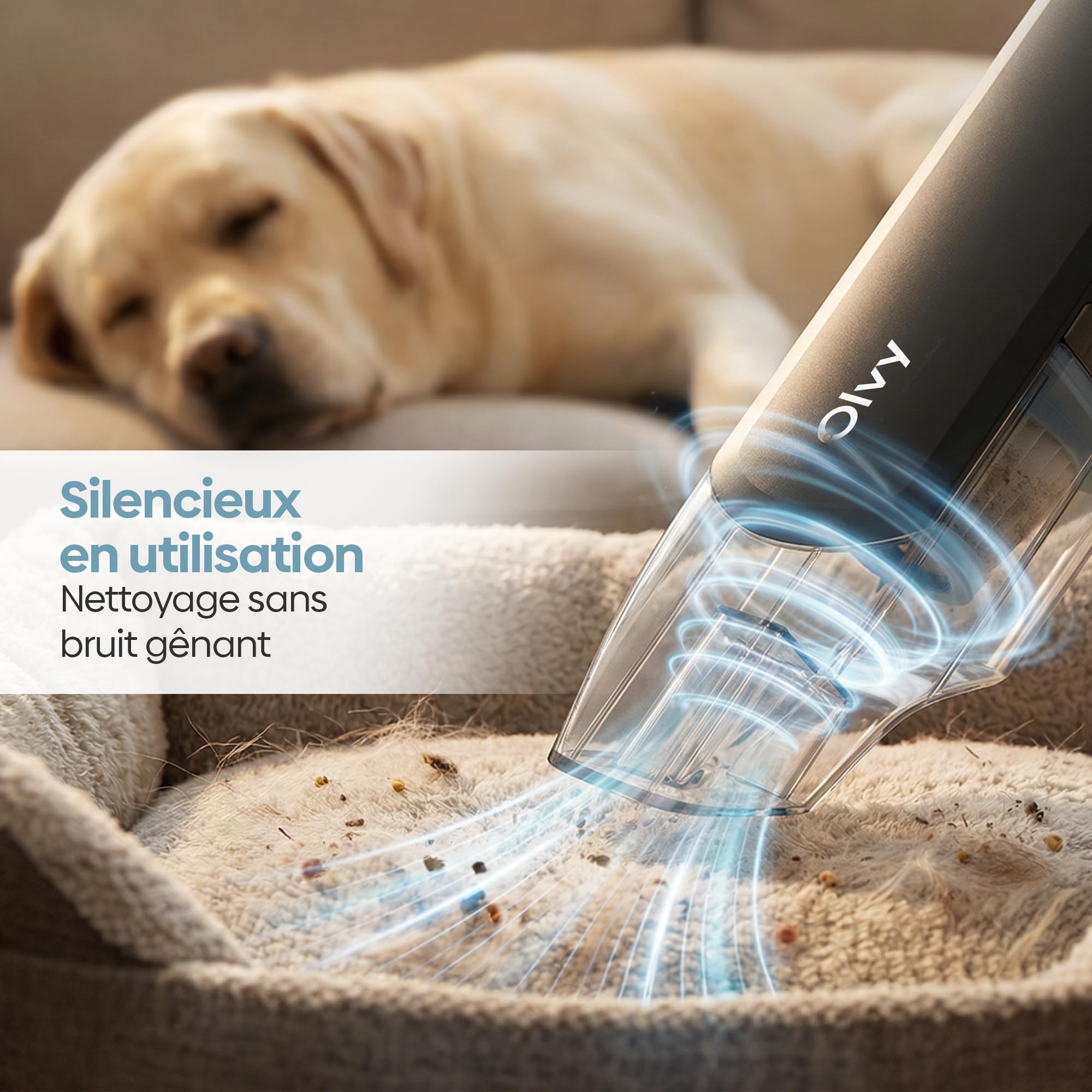 Aspirateur portatif sans fil puissant à 2 vitesses pour poils d'animaux, mini aspirateur portable pour voiture et maison, longue autonomie, filtre HEPA lavable, nombreux accessoires