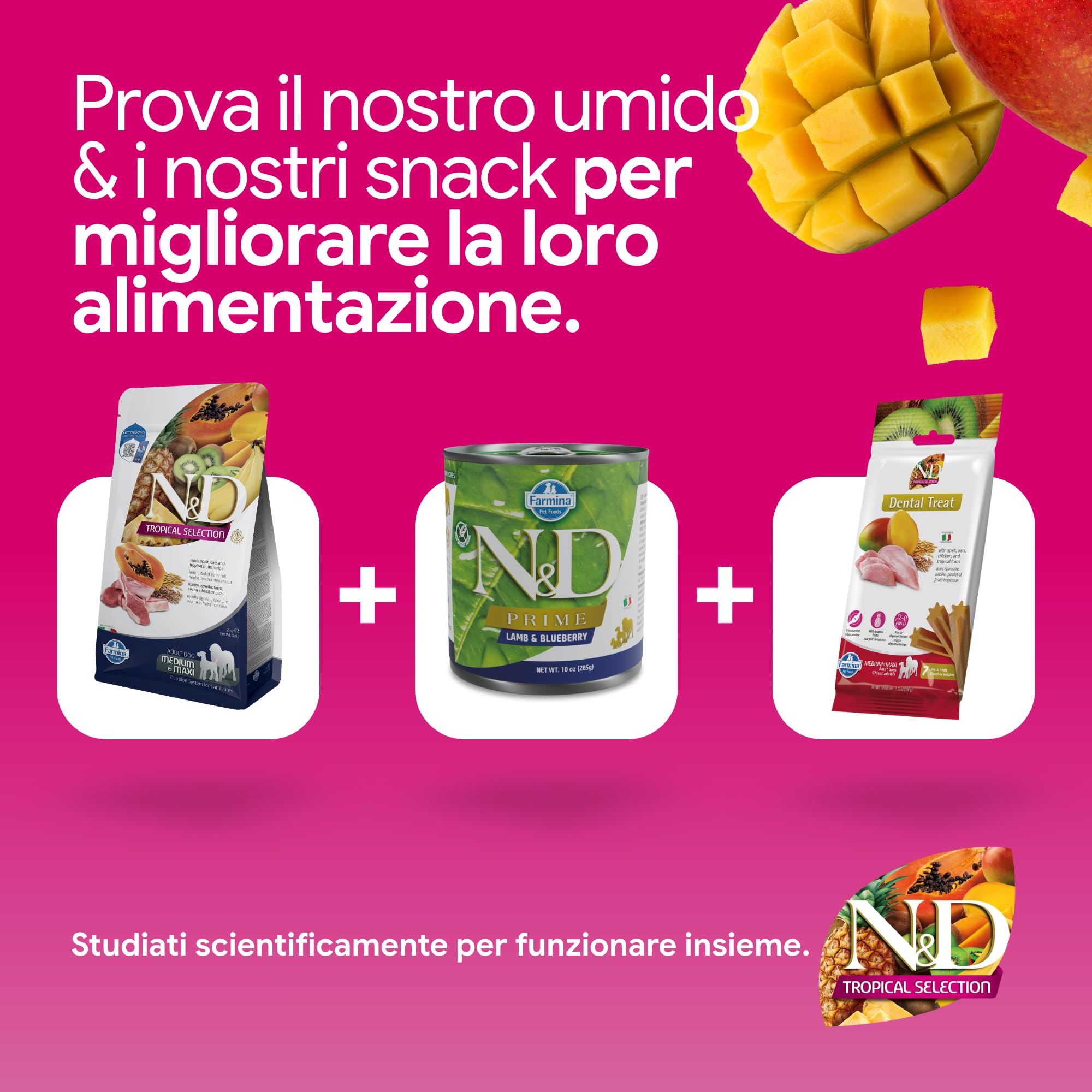 N&D Tropical Selection Lamb and tropical fruits Adult Medium & Maxi 10.00 kg