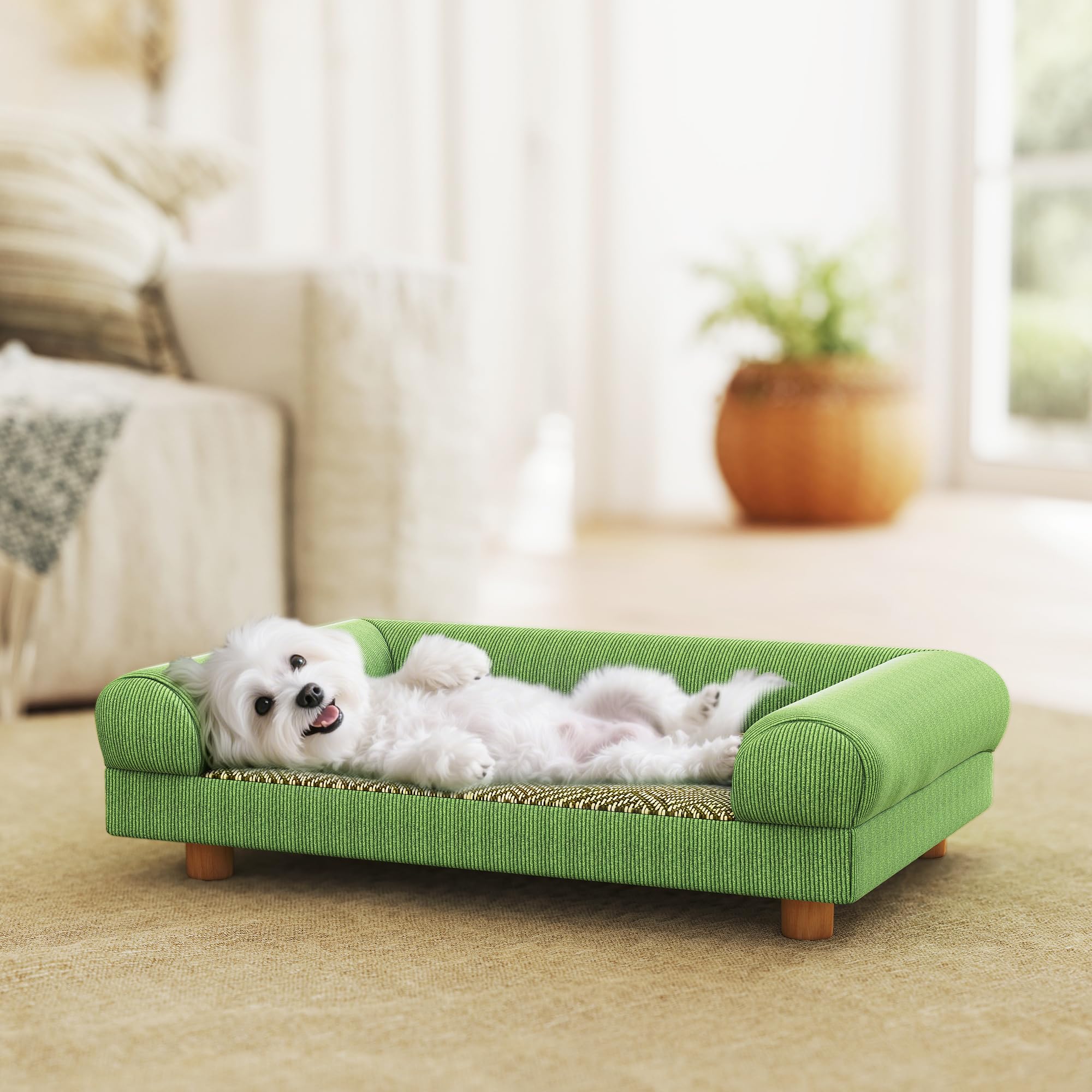 PawHut Canapé pour Chien Chat lit pour Chien surélevé avec Assise de Tapis Frais, accoudoirs et Pieds, en Velours Doux, pour Animal jusqu'à 5 kg, 63 x 41 x 17 cm, Vert