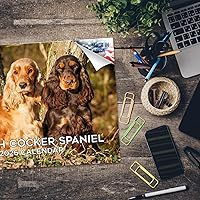 Vista 182 de Razas de Perros 2017