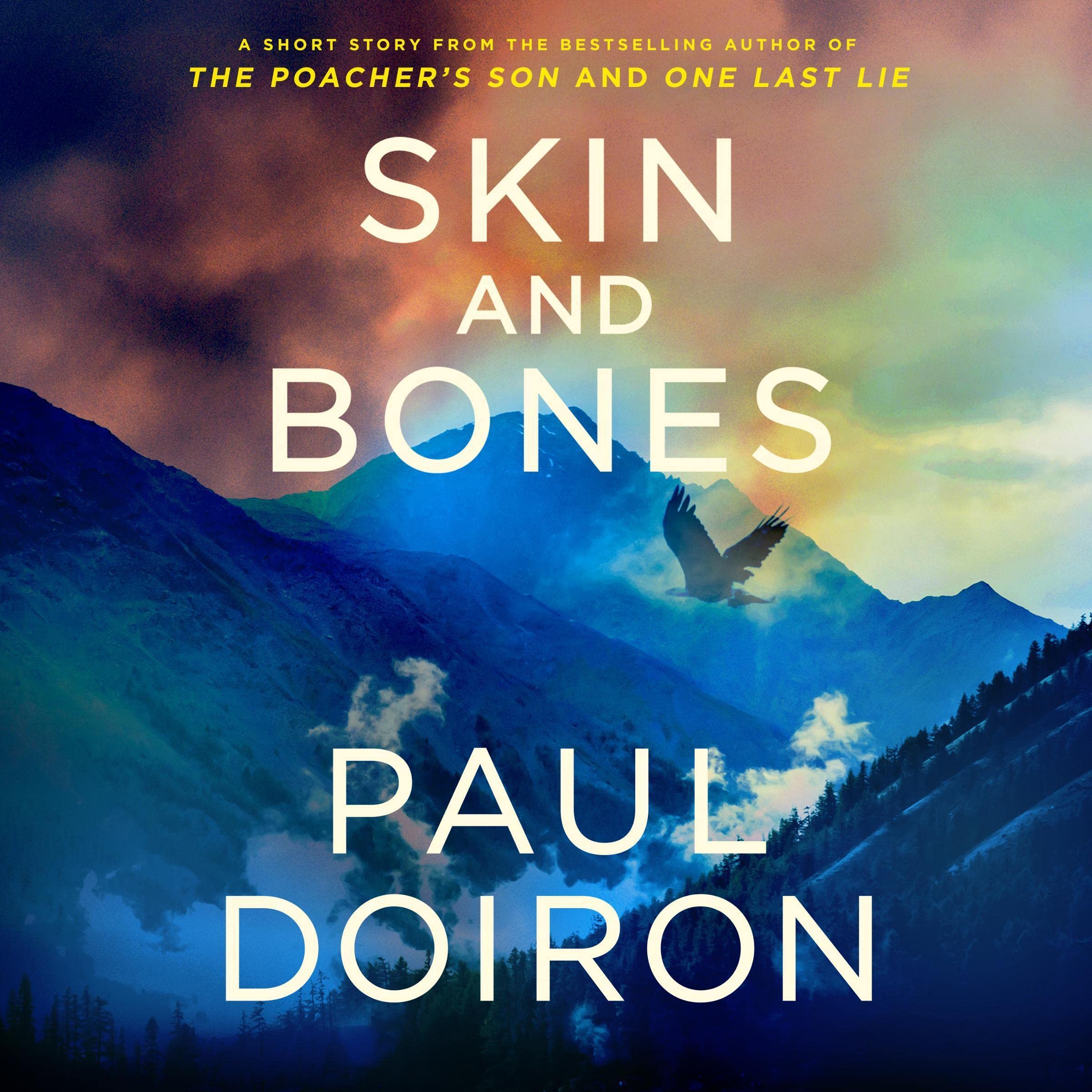 Cover art for Skin and Bones
