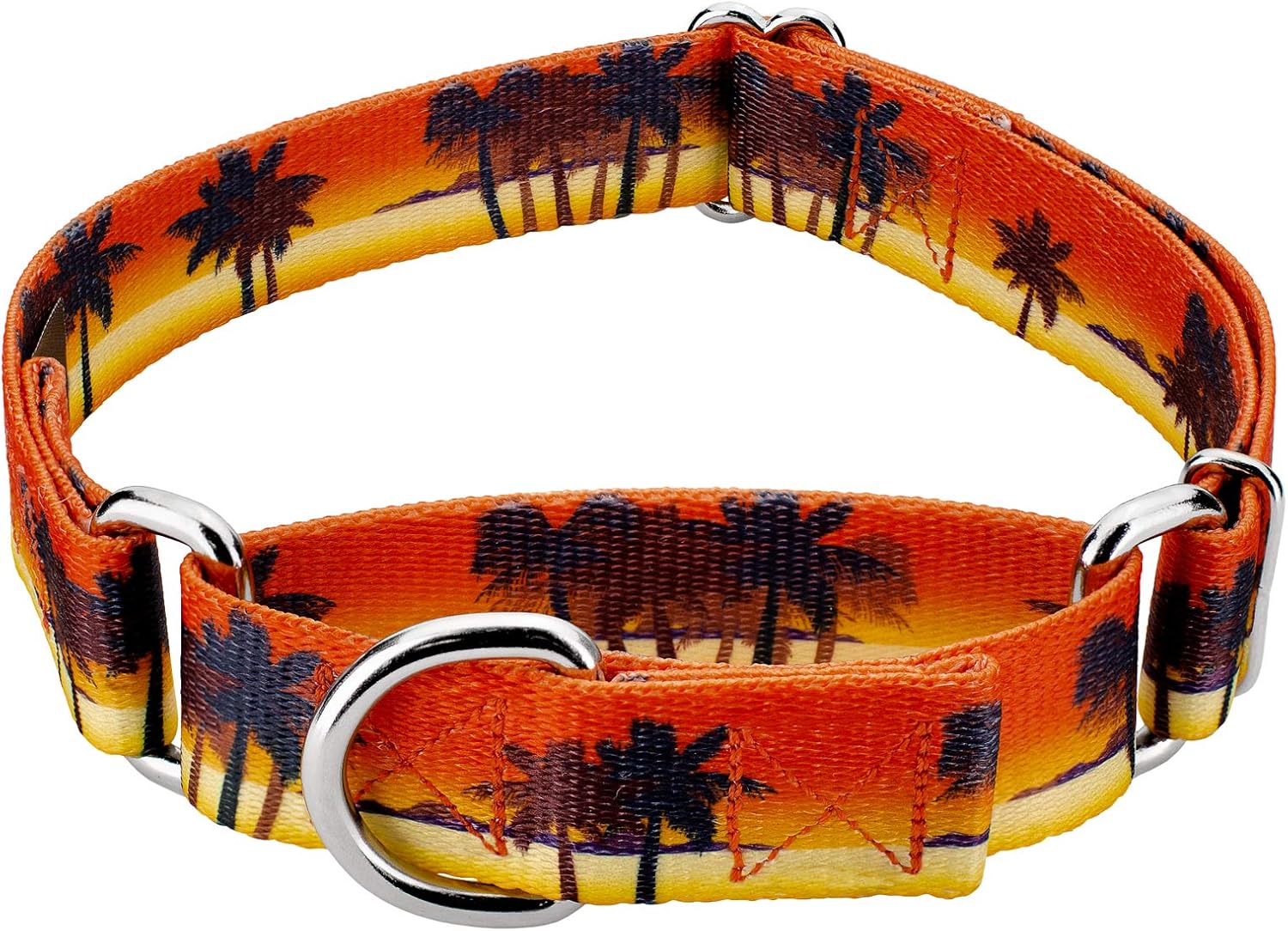 Country Brook Petz Martingale Dog Collar Summer Breeze Collection