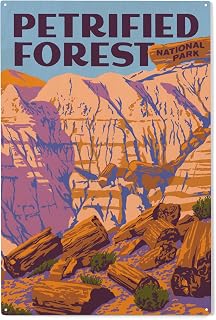 Lantern Press 10x15 Inch Wood Sign, Ready to Hang Wall Decor, Petrified Forest National Park, Explorer Series