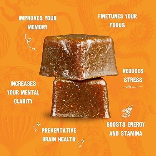 Miniatura 3 de OMFG - Gomitas de suplemento de hongos para la salud cerebral - Nootrópicos potenciador cerebral con melena de león orgánica, Cordyceps, B12, DMAE