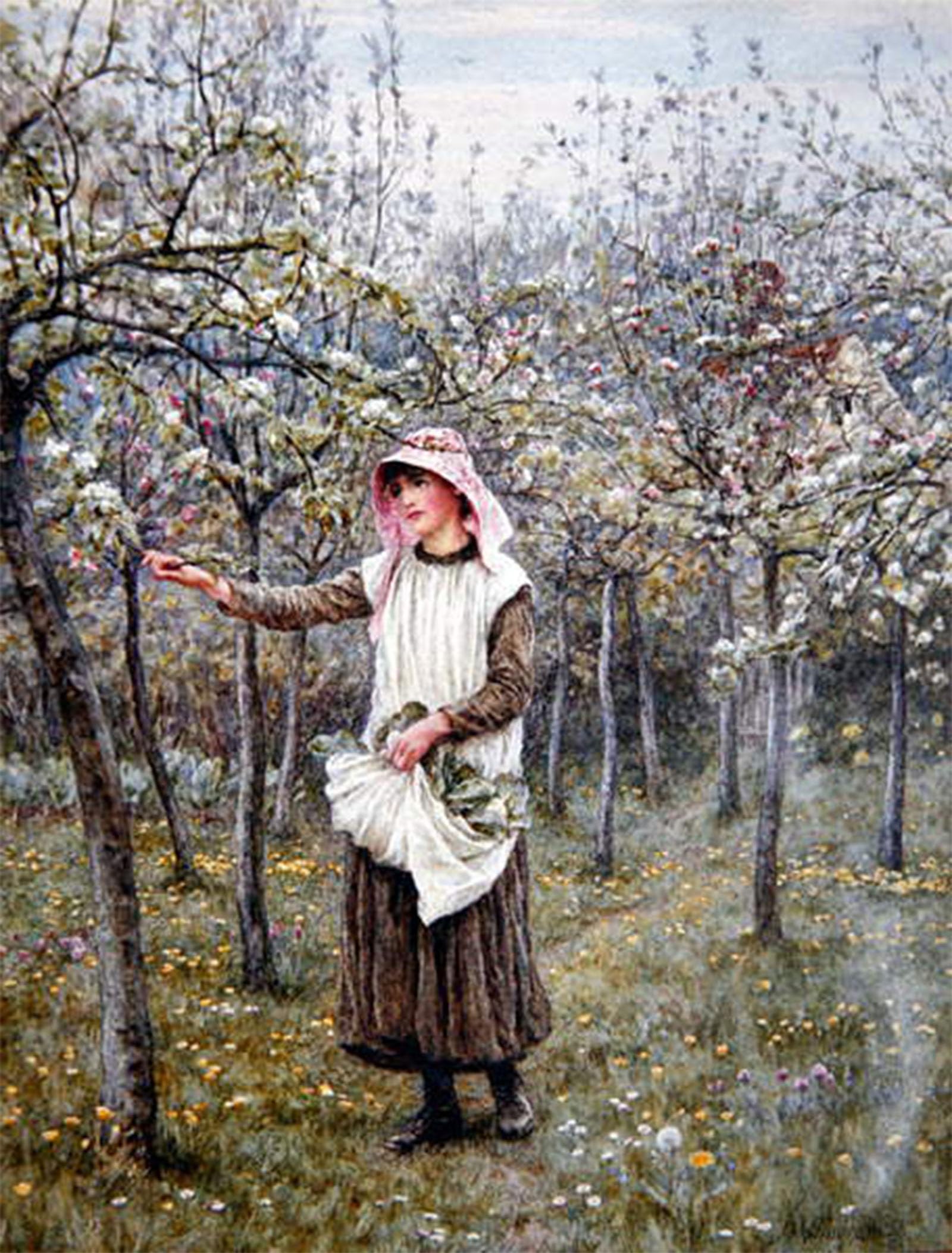 ARTXLXXBN Famous Art Print Poster Vintage Wall Art Blossom Time by Helen Allingham Canvas Art Poster for Home Decor 60x90cm