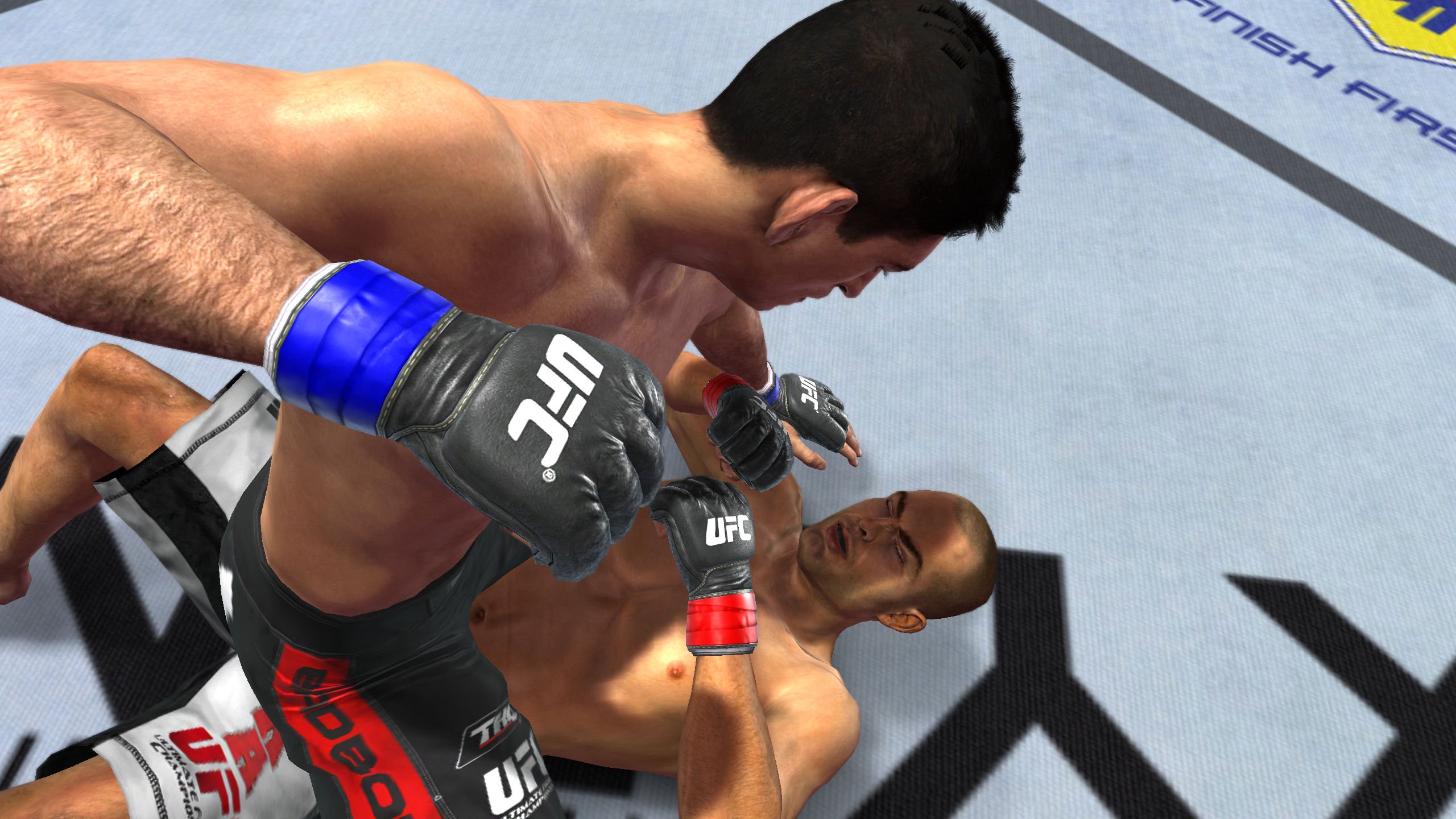 THQ UFC Undisputed 2010