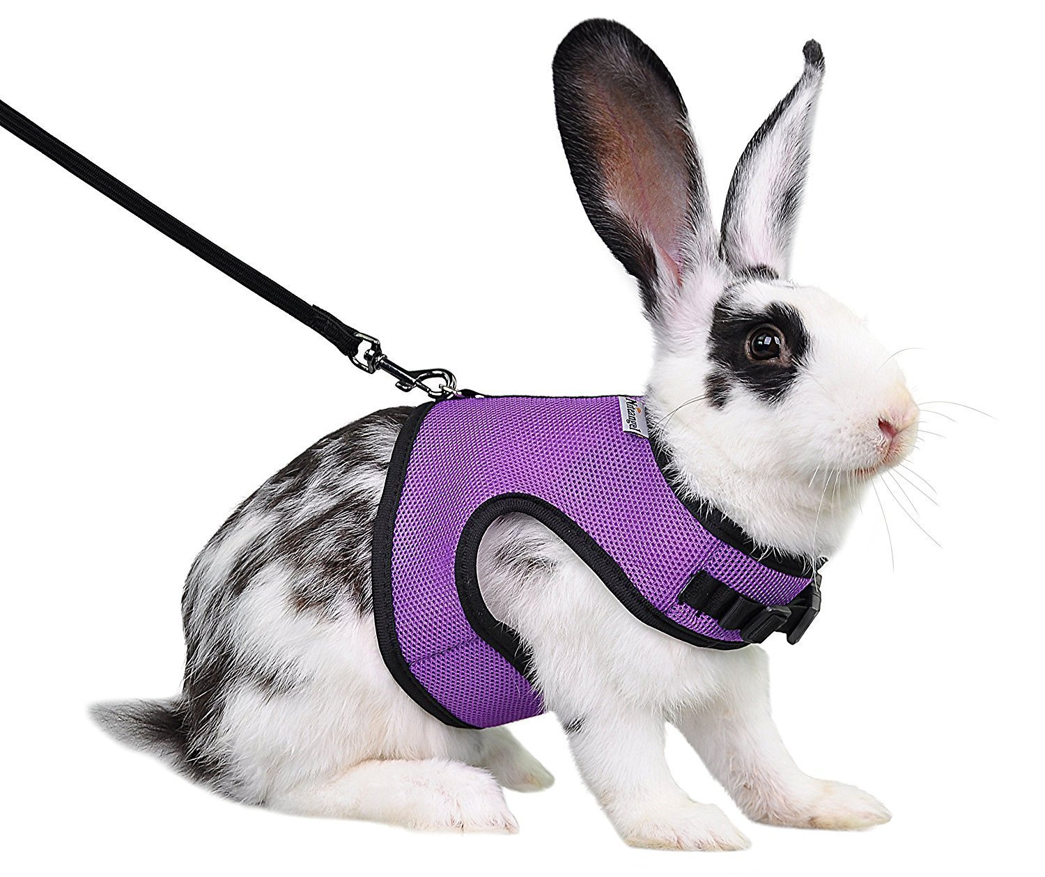 Niteangel Adjustable and Breathable Mesh Harness with Lead for Rabbit (S, Purple)