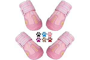 The Ultimate Paw Protection: QUMY Doggie Winter Boots