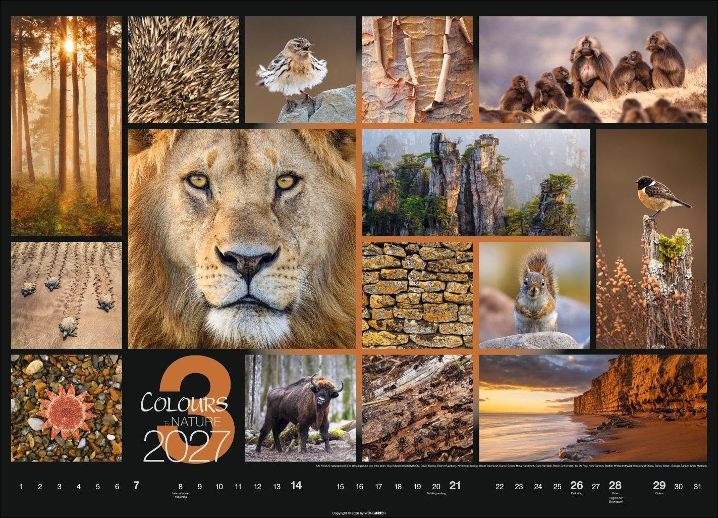 Colours of Nature Kalender 2027: Großer Foto-Wandkalender im Querformat 68 x 49 cm. Natur-Kalender 2027 mit harmonischen Bild- und Farbkompositionen für jeden Monat.