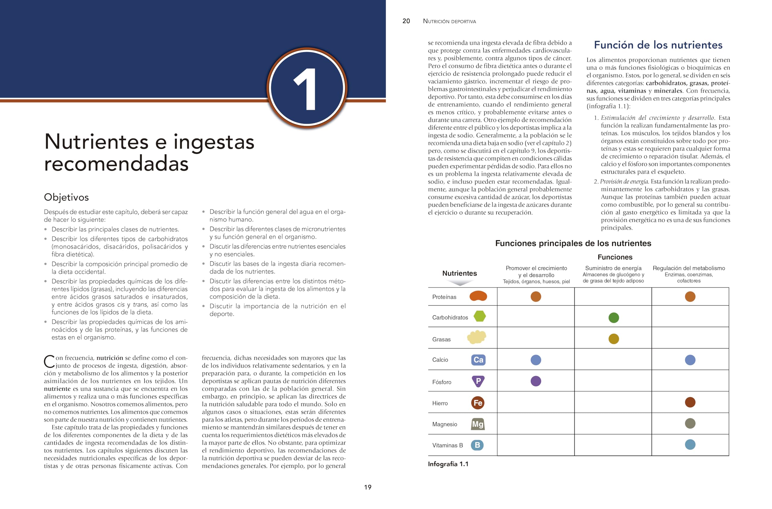 Nutrición deportiva. Nueva edición ampliada y actualizada (DEPORTES)