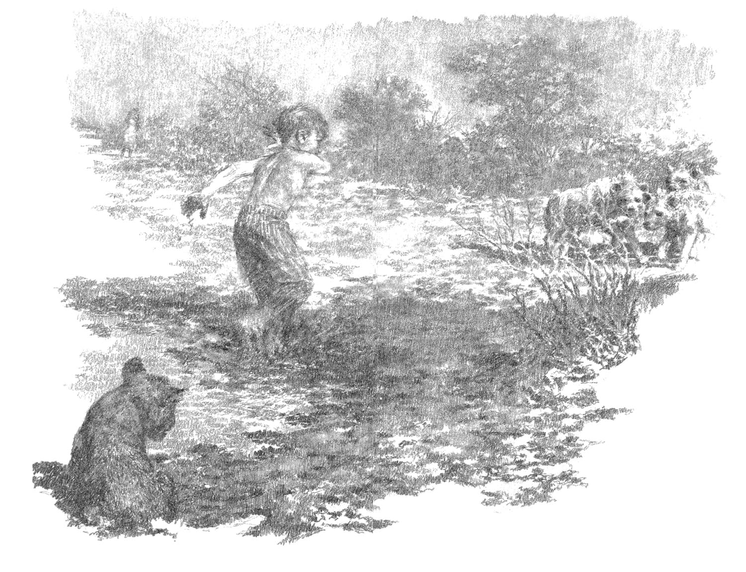 The Butterfly Lion: The classic illustrated children’s story of unforgettable friendship