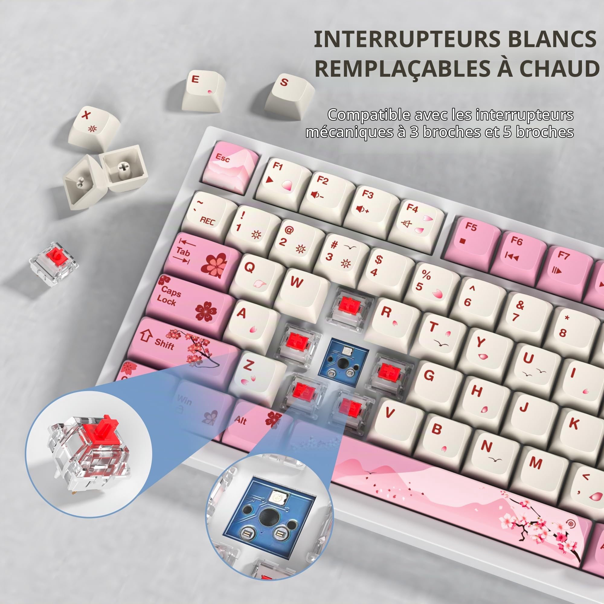 SOLIDEE Clavier de Jeu Mécanique 75% Filaire avec Rétroéclairage RVB, 82 Touches TKL Gasket Remplaçable à Chaud, Compact NKRO avec Bouton de Volume (82 Flower)