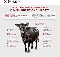 Vista 5 de Purina Nutrición Animal Viento y Lluvia Tormenta Texas All Season 7.5 Complete Ganado Mineral