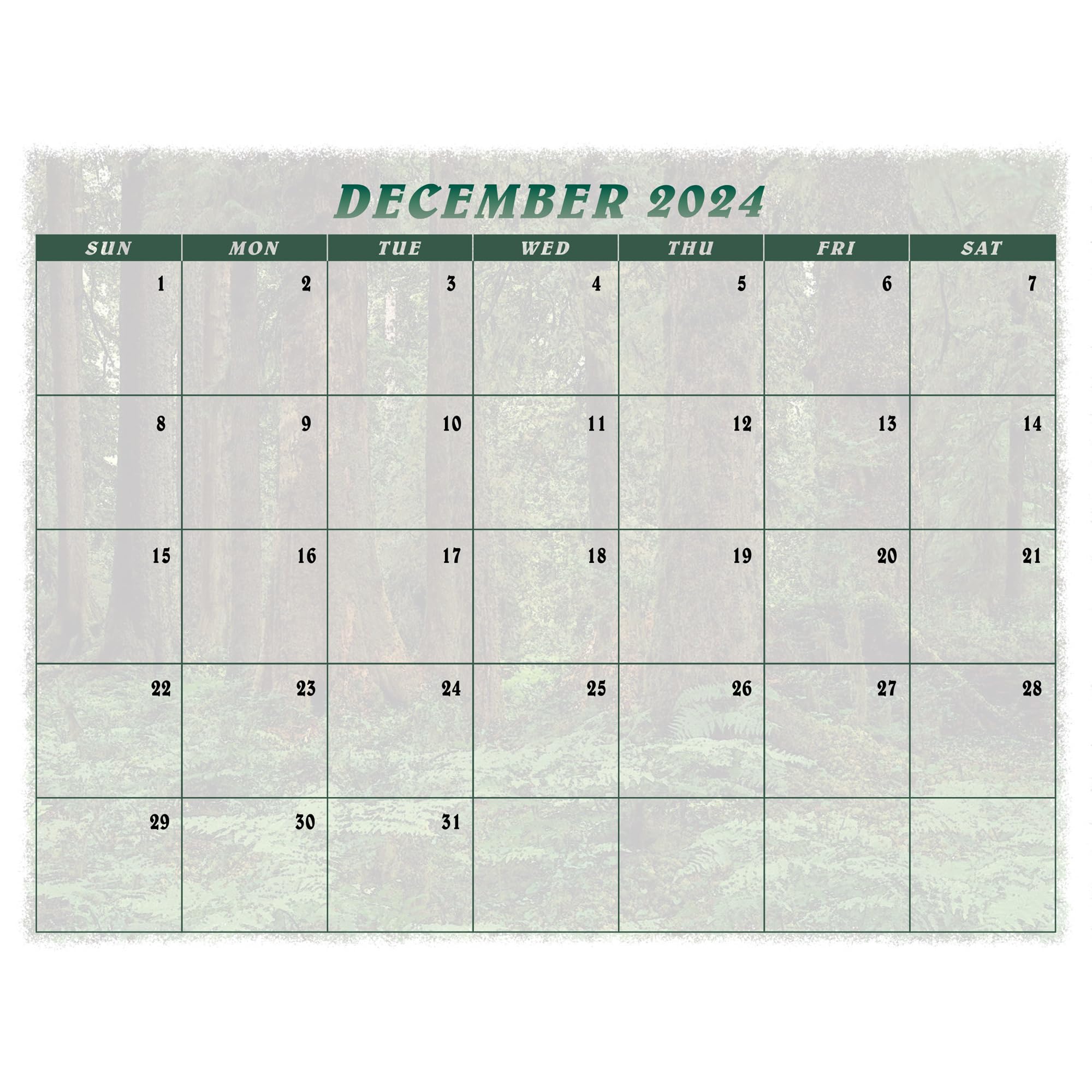 Calendario 2025 Bigfoot – Calendario de pared de 13 meses de 11 x 19 pulgadas abierto – Regalo divertido para los fans de Sasquatch, Cryptids, y lo desconocido (encuentros peligrosos)