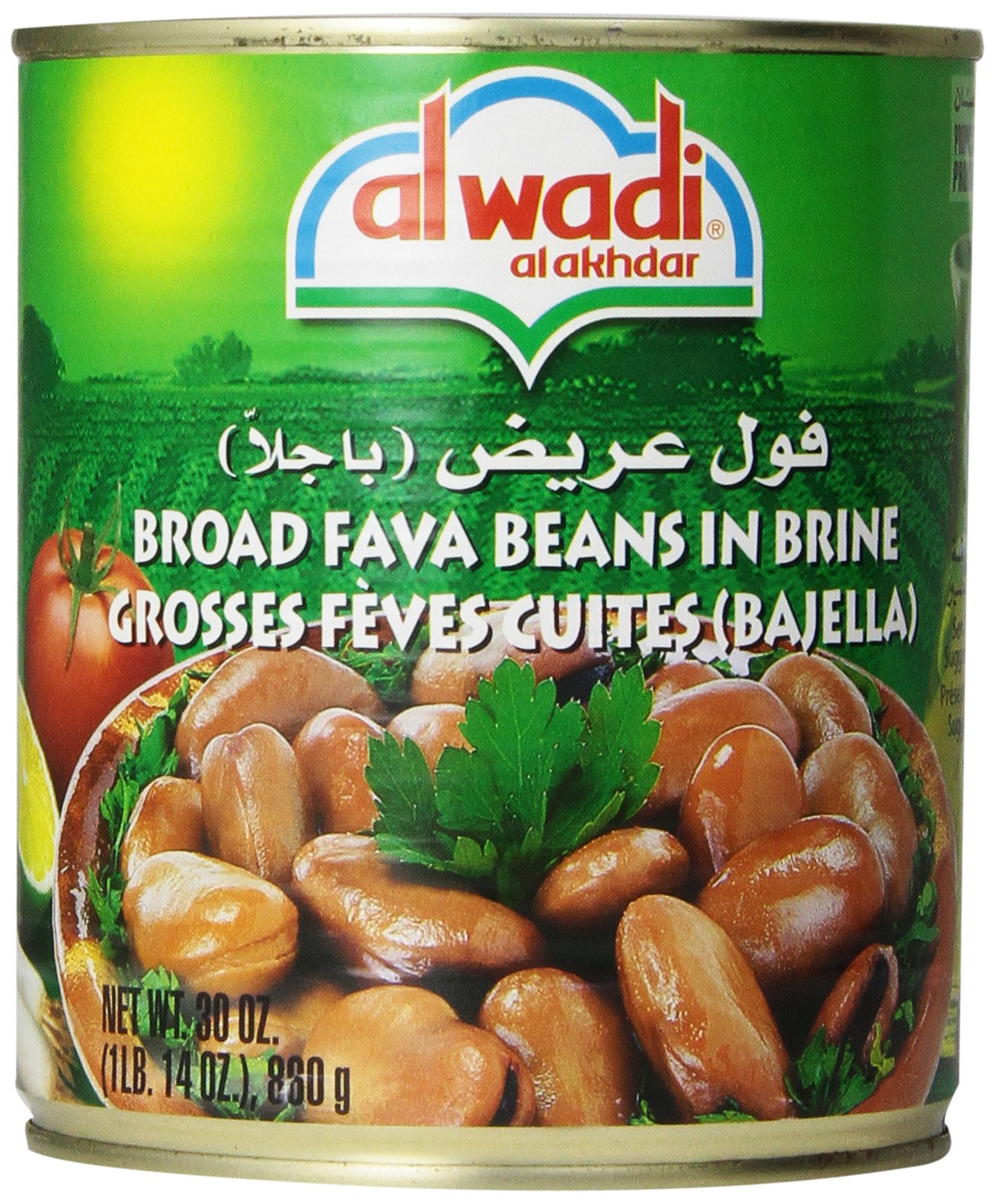 al wadi alakhdar Broad Fava Beans in Brine, 30-Ounce (Pack of 6)